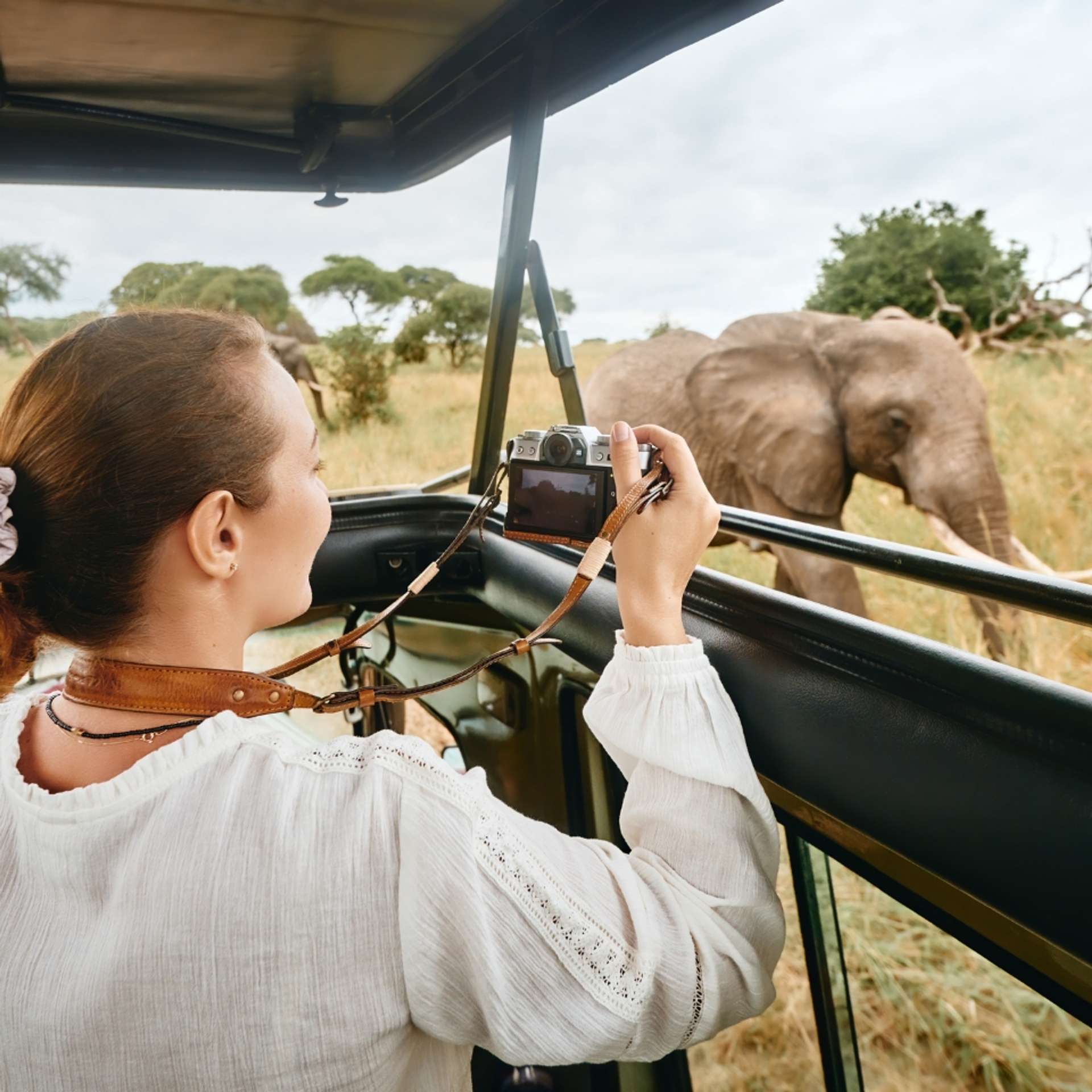 Africa Wildlife safaris and game drives Trips in 2025/2026