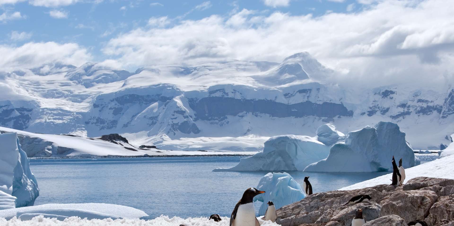 Polar Tours and Trips