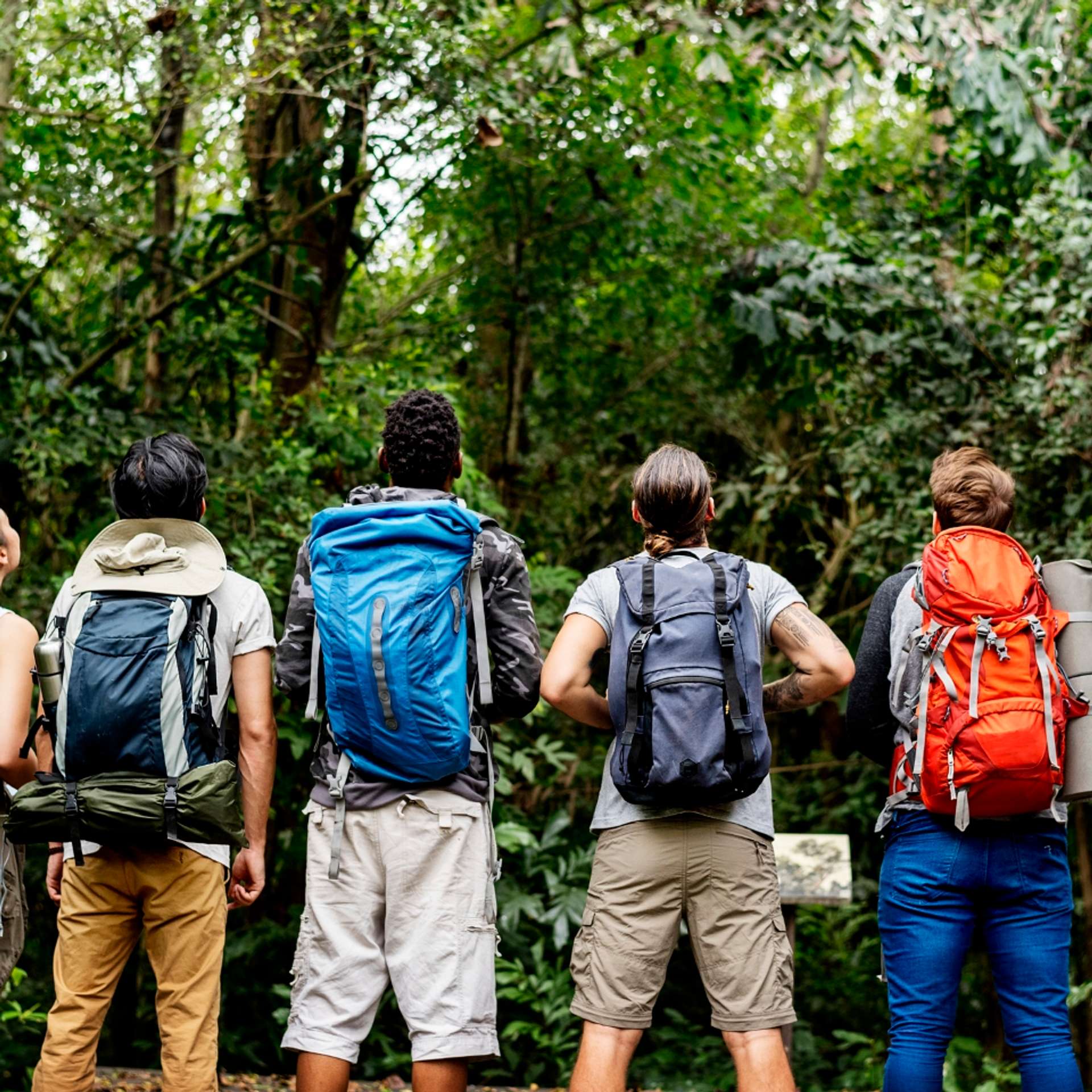 The 10 BEST Costa Rica Group Tours & Trip Packages 2025/2026