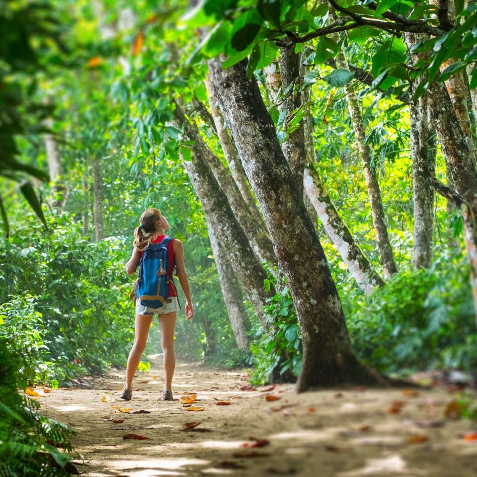 Top Costa Rica tours