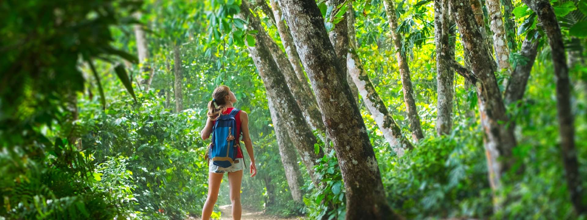 Costa Rica Solo Tours for Single Travelers