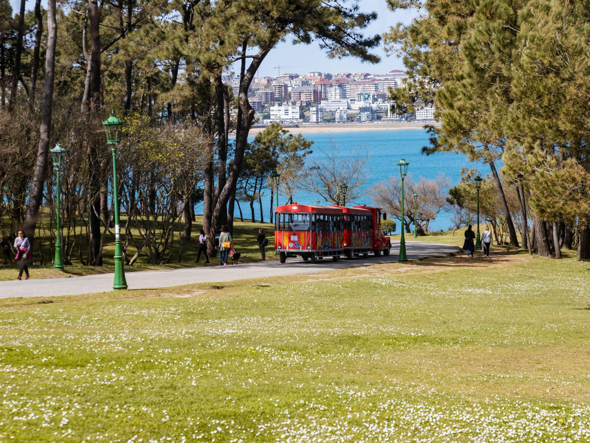 10 Best Tours and Trips in A Coruña in 2025/2026 - Compare Prices