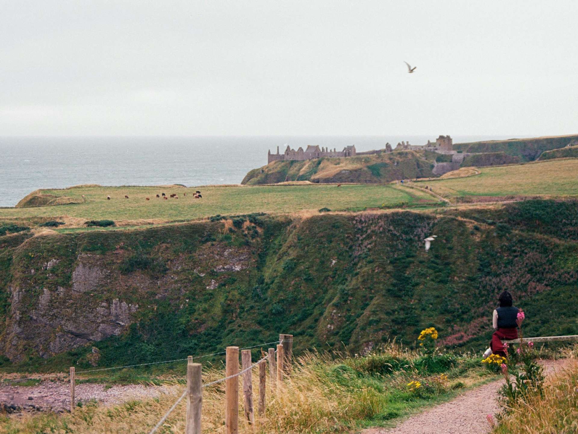 10 Best Tours and Trips in Aberdeen in 2025/2026 - Compare Prices