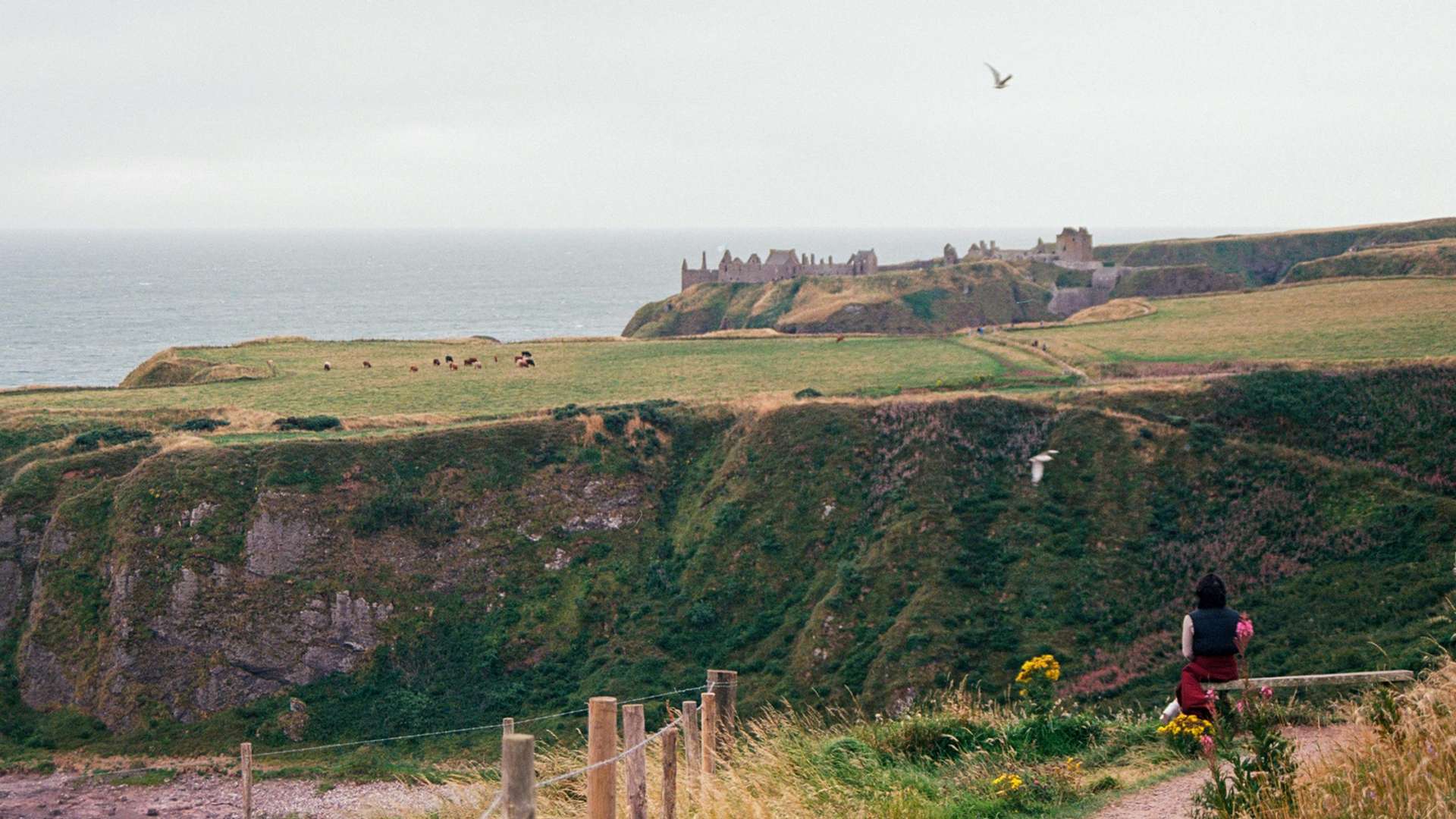 Aberdeen Tours and Trips