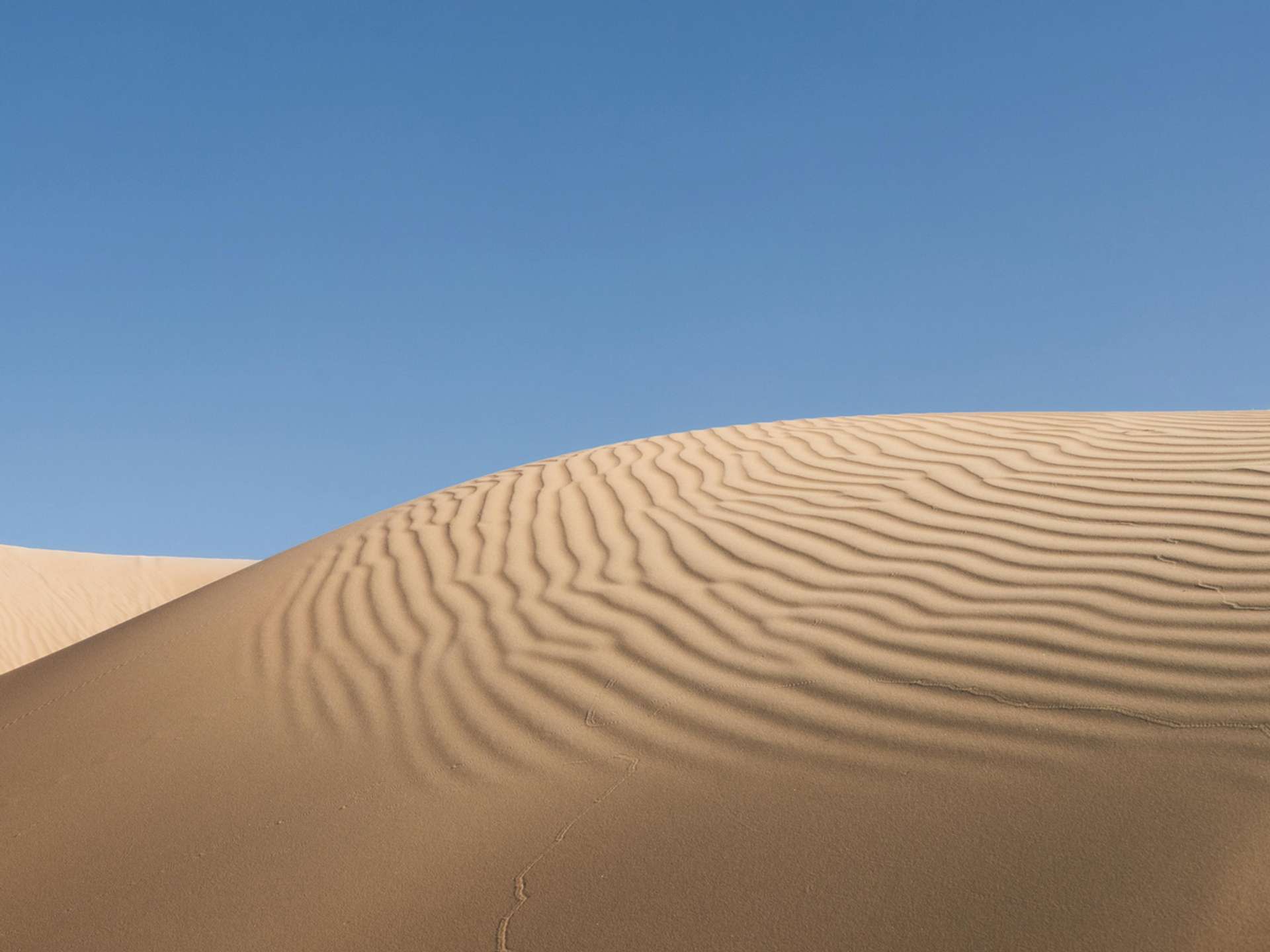 10 Best Tours and Trips in Al Wusta in 2025/2026 - Compare Prices