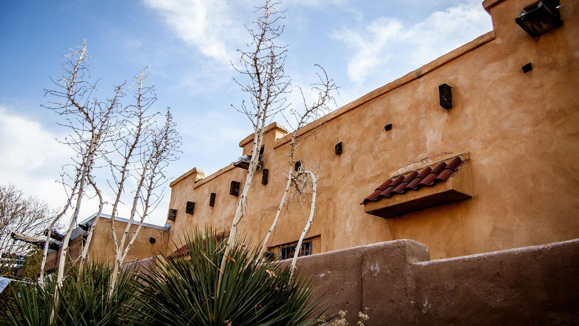 Albuquerque Tours and Trips