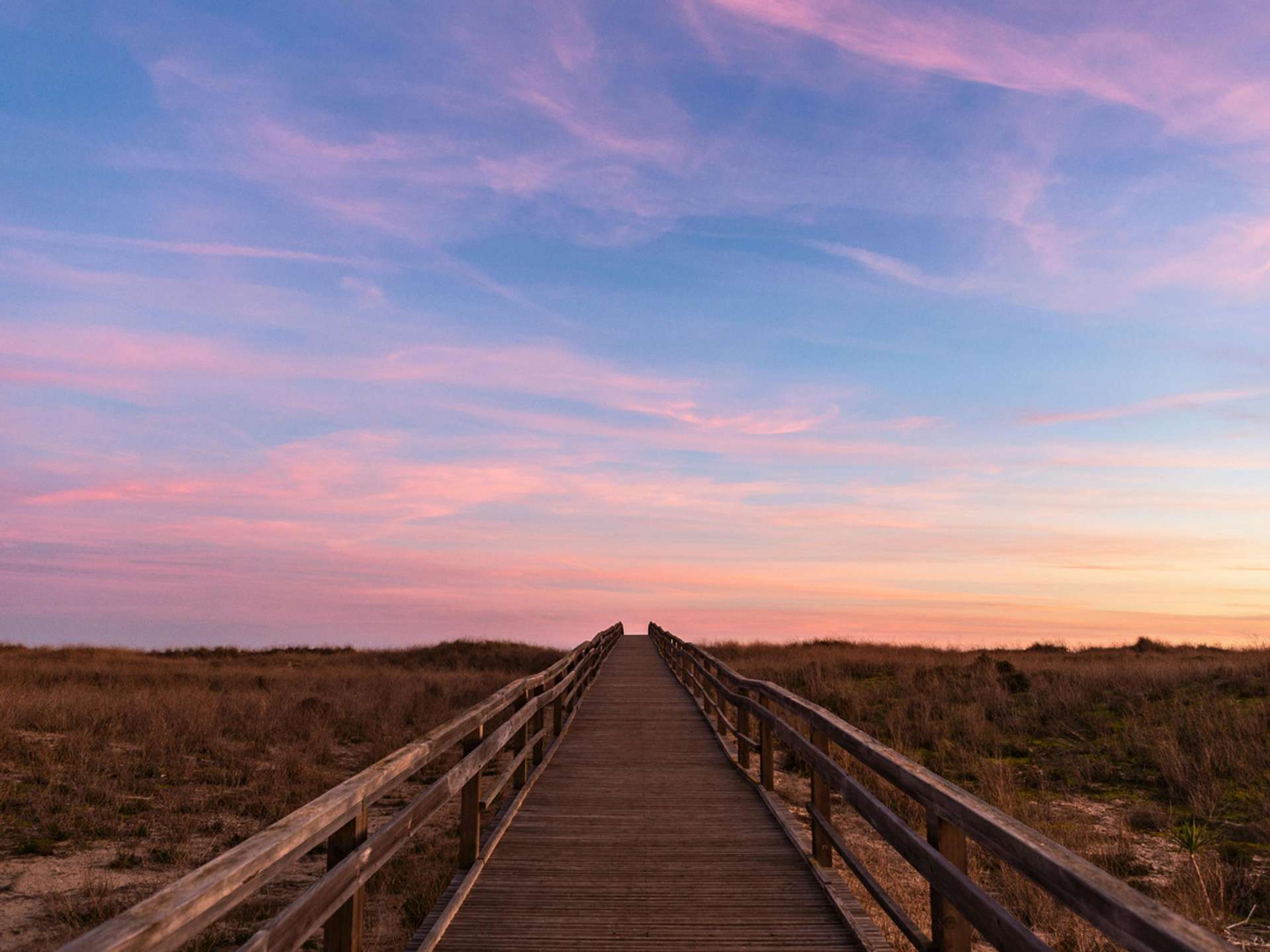 10 Best Tours and Trips in Algarve in 2025/2026 - Compare Prices