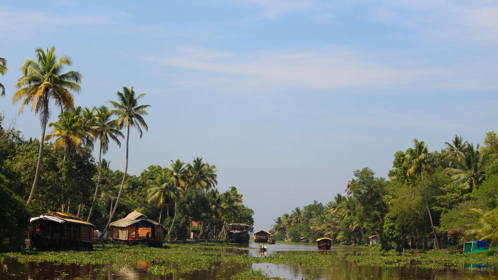 Alleppey Tours and Trips