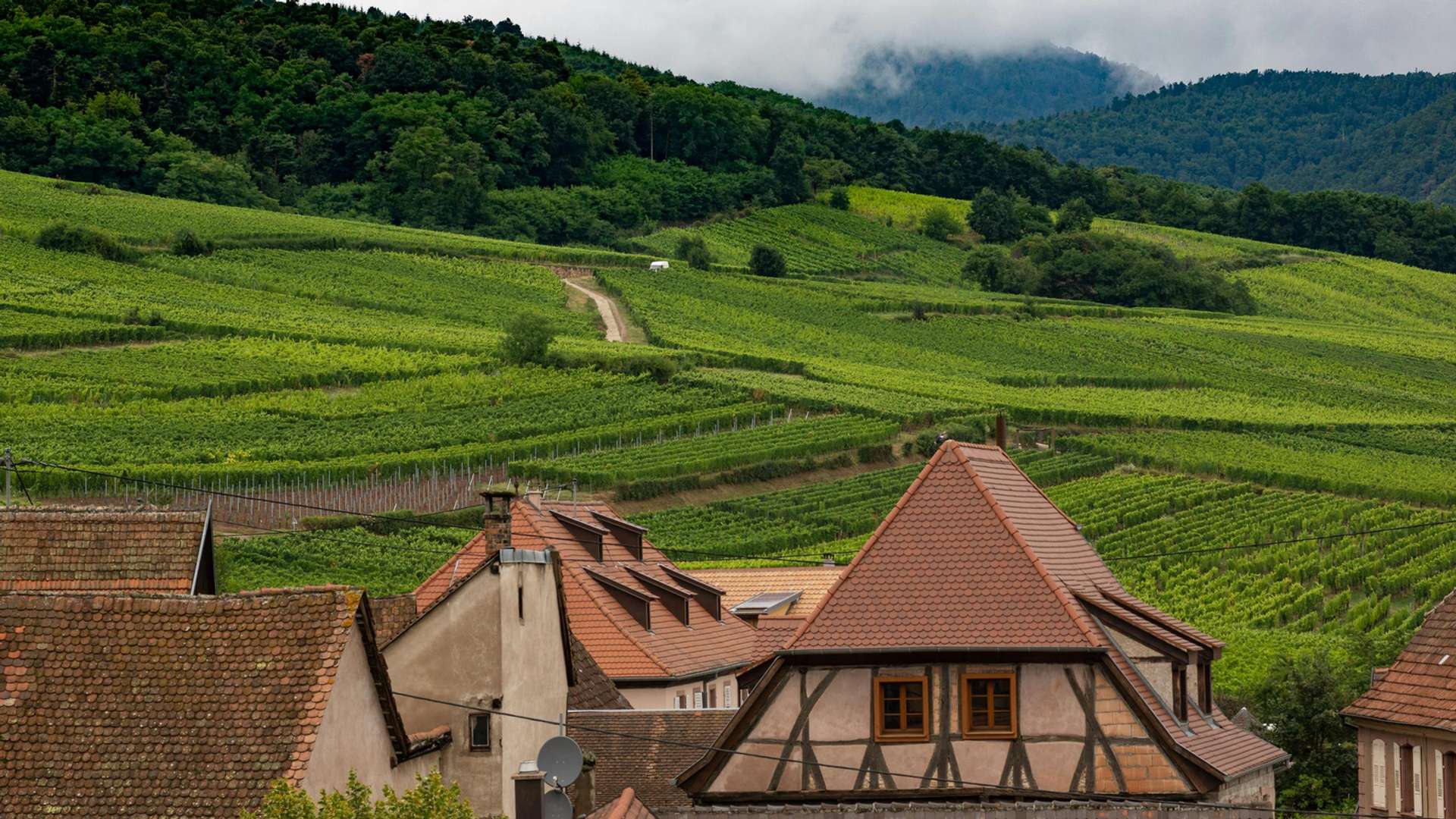 Alsace & Lorraine Tours and Trips
