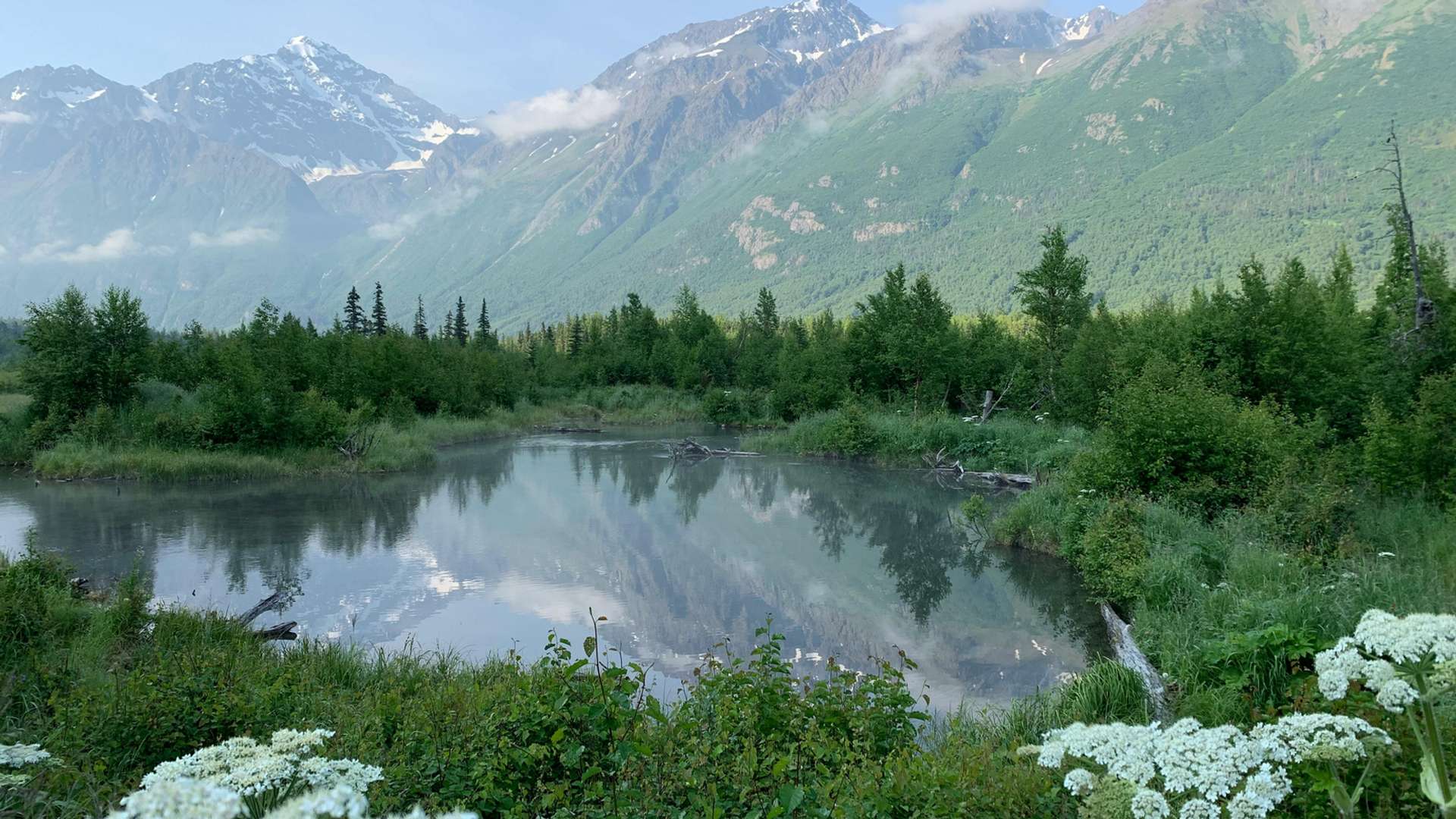 Anchorage Tours and Trips