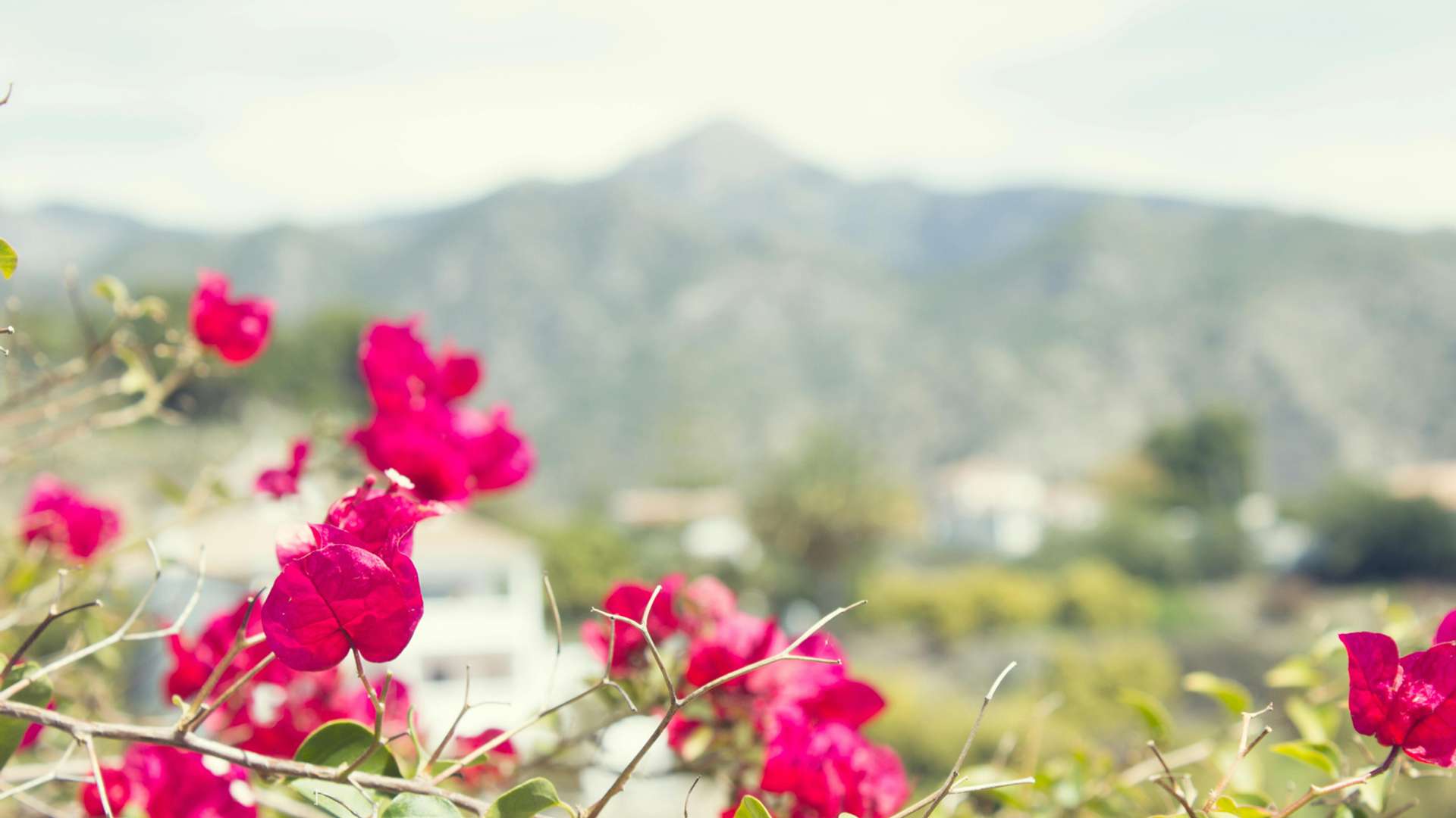 Andalucia Tours and Holidays