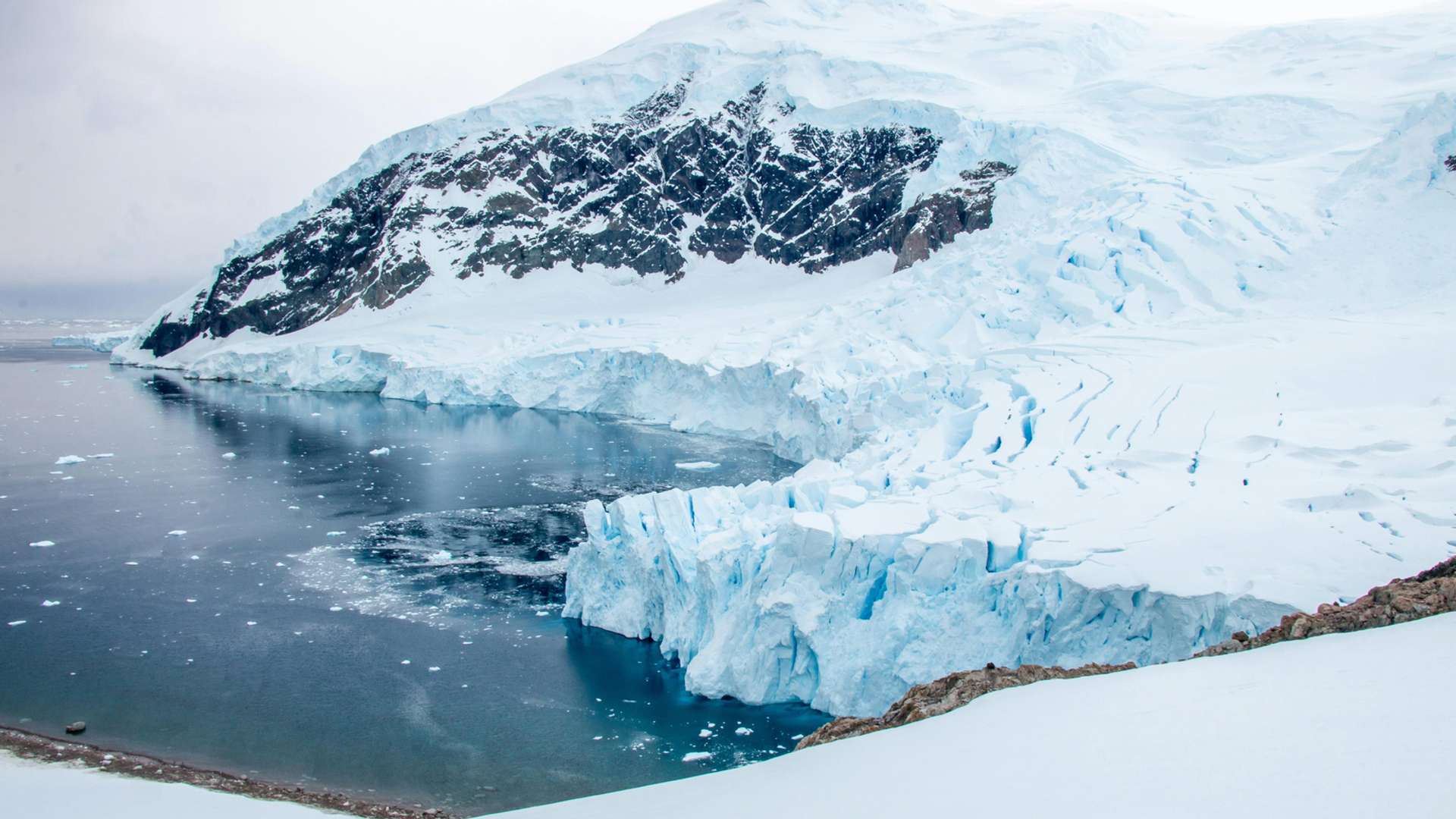 Antarctic Peninsula Tours and Trips