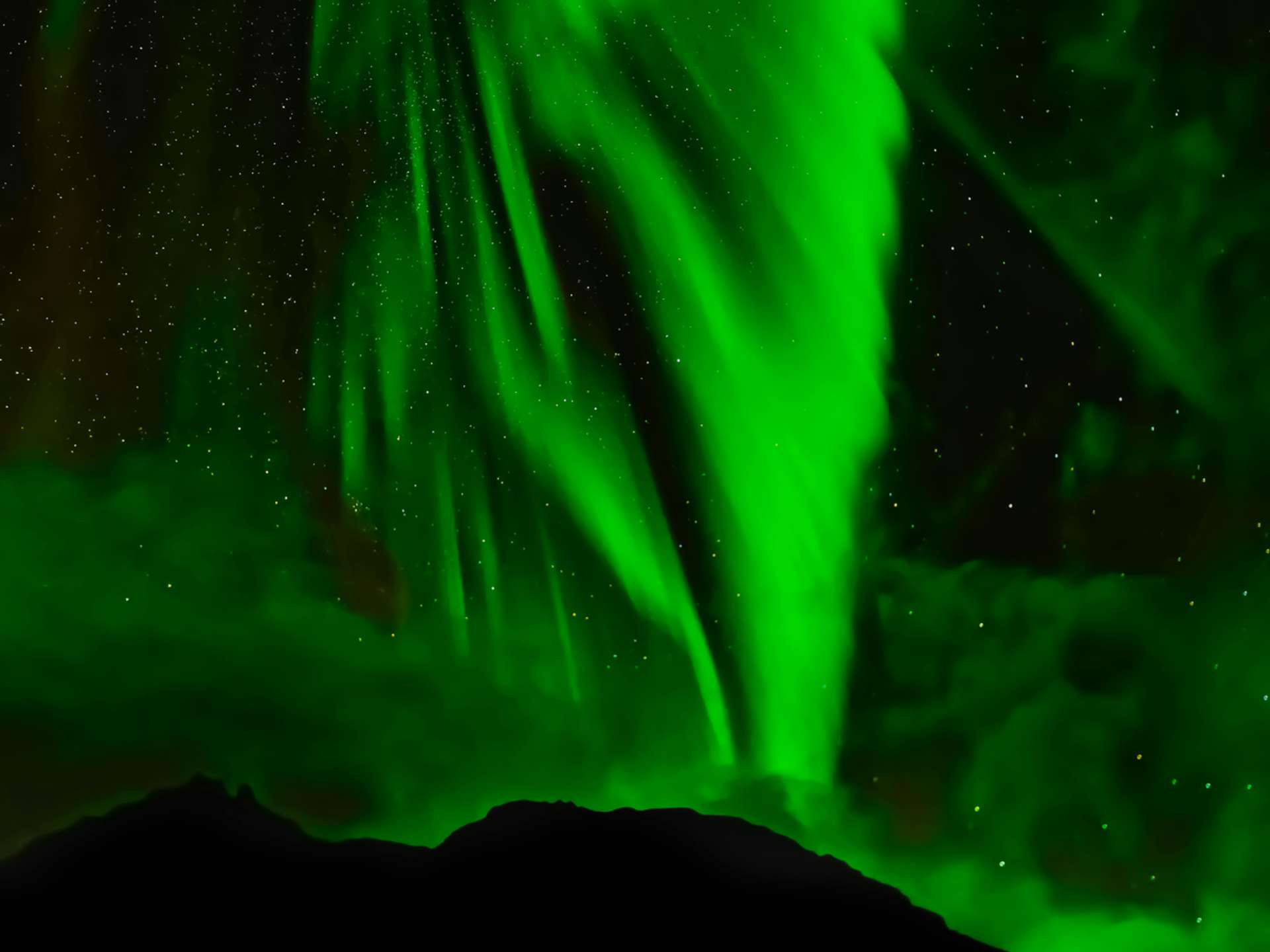 10 Best Tours and Trips in Arctic Circle in 2025/2026 - Compare Prices