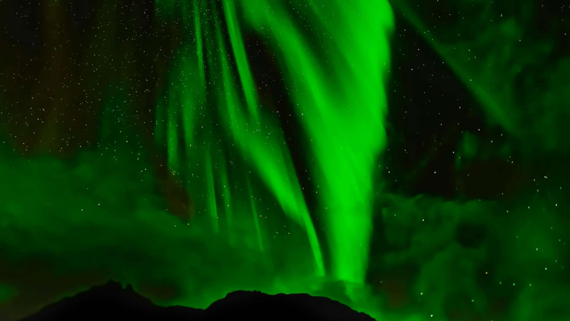Arctic Circle Tours and Trips