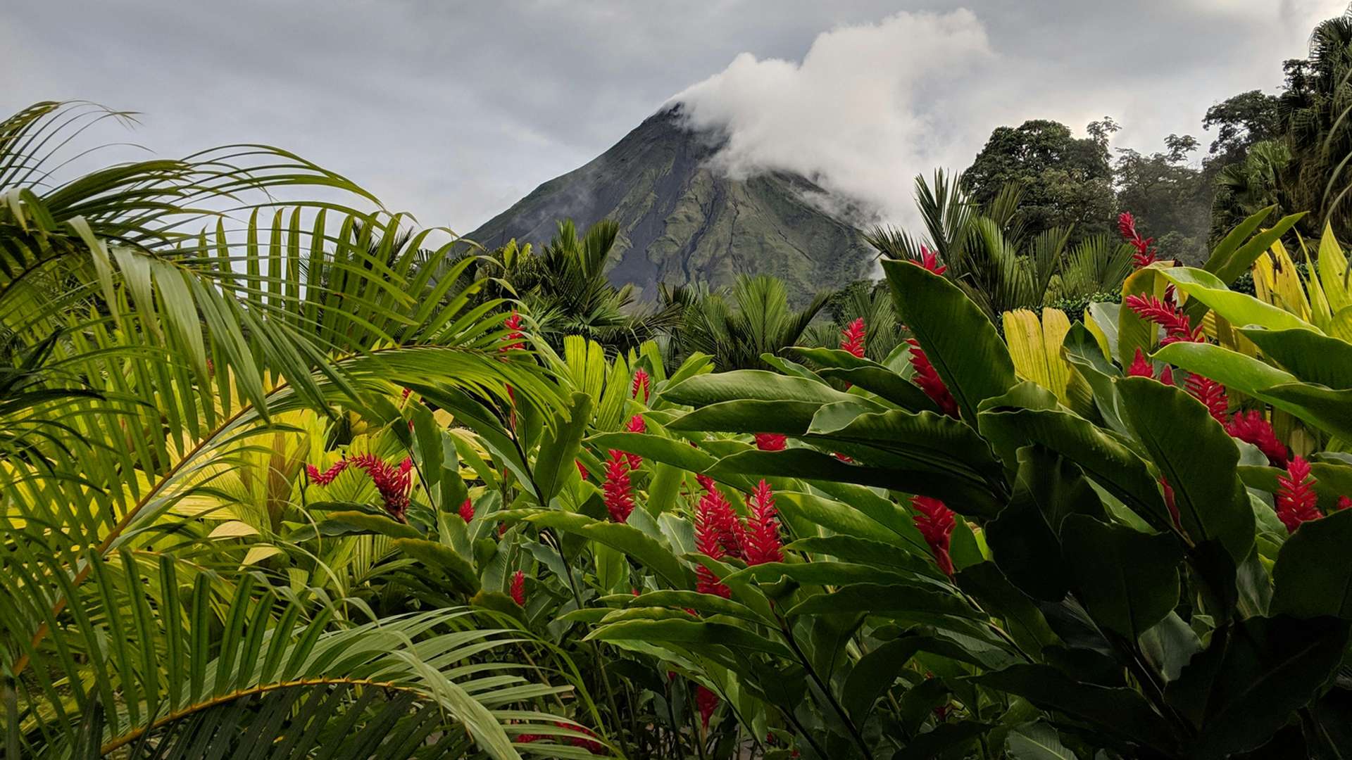 Arenal Volcano Tours and Trips
