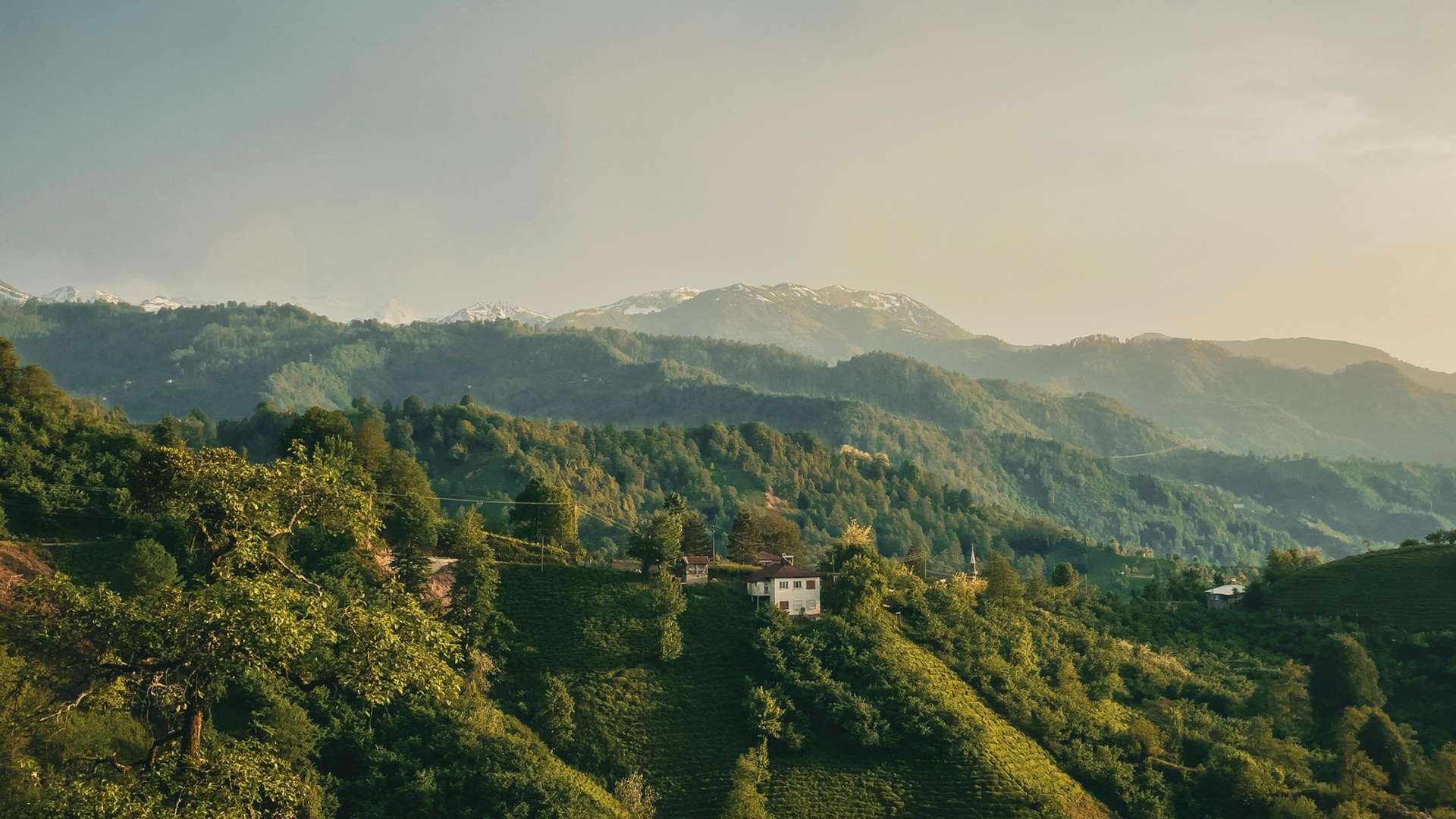 Artvin Tours and Trips