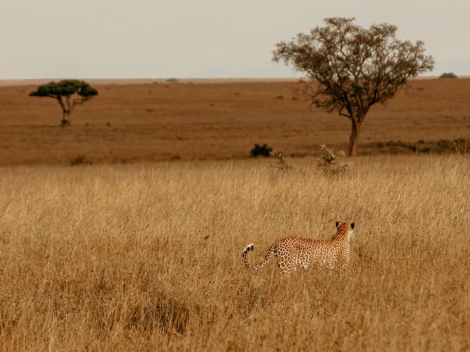 10 Best Arusha National Park Multiday Tours in September 2026