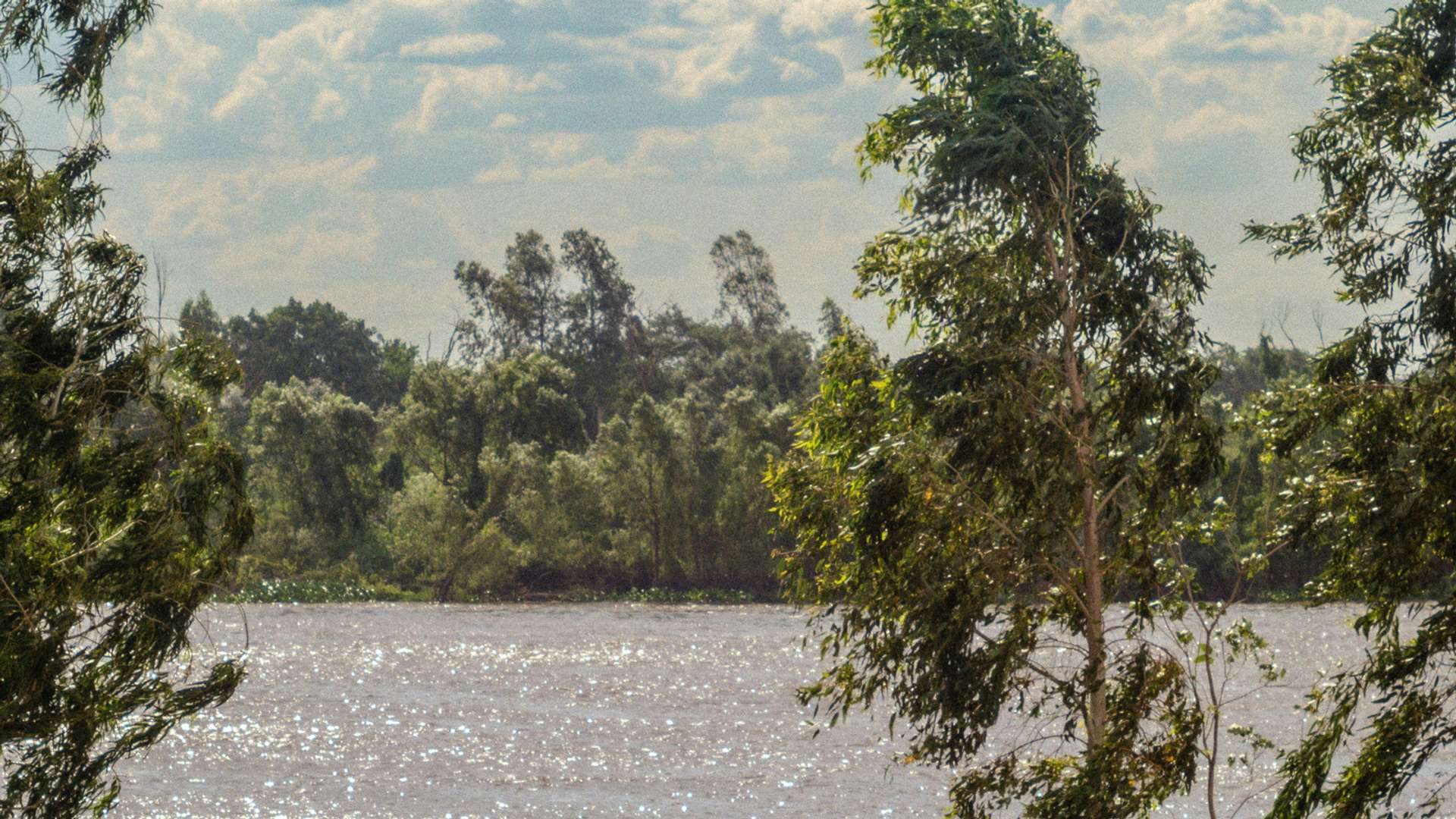 Asuncion Tours and Trips