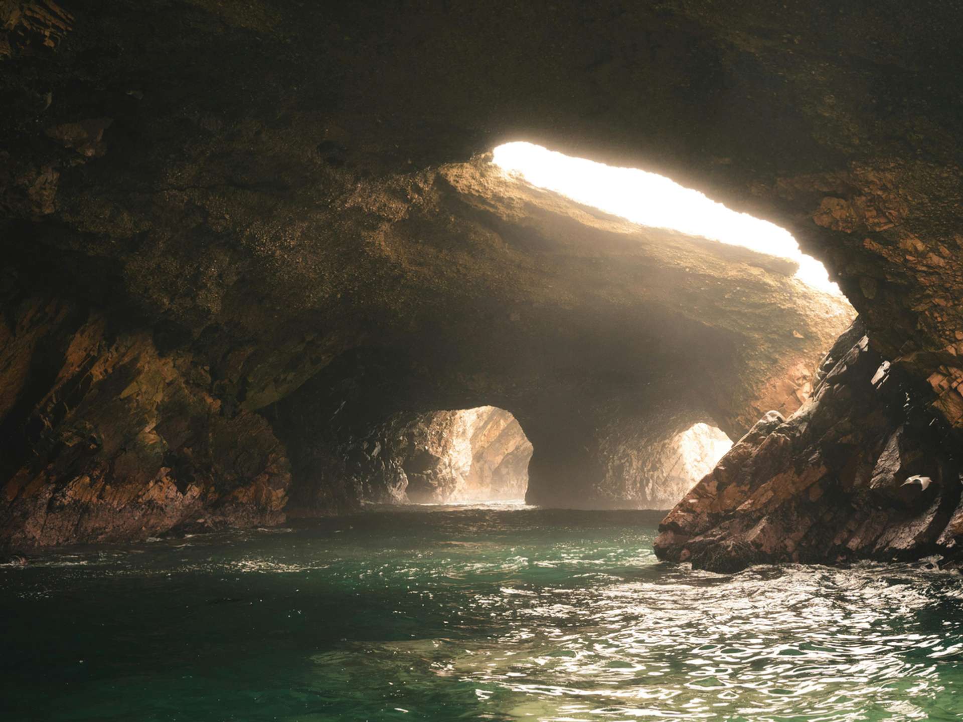 Ballestas Islands and Paracas National Reserve Trekking and Hiking Trips in 2025/2026