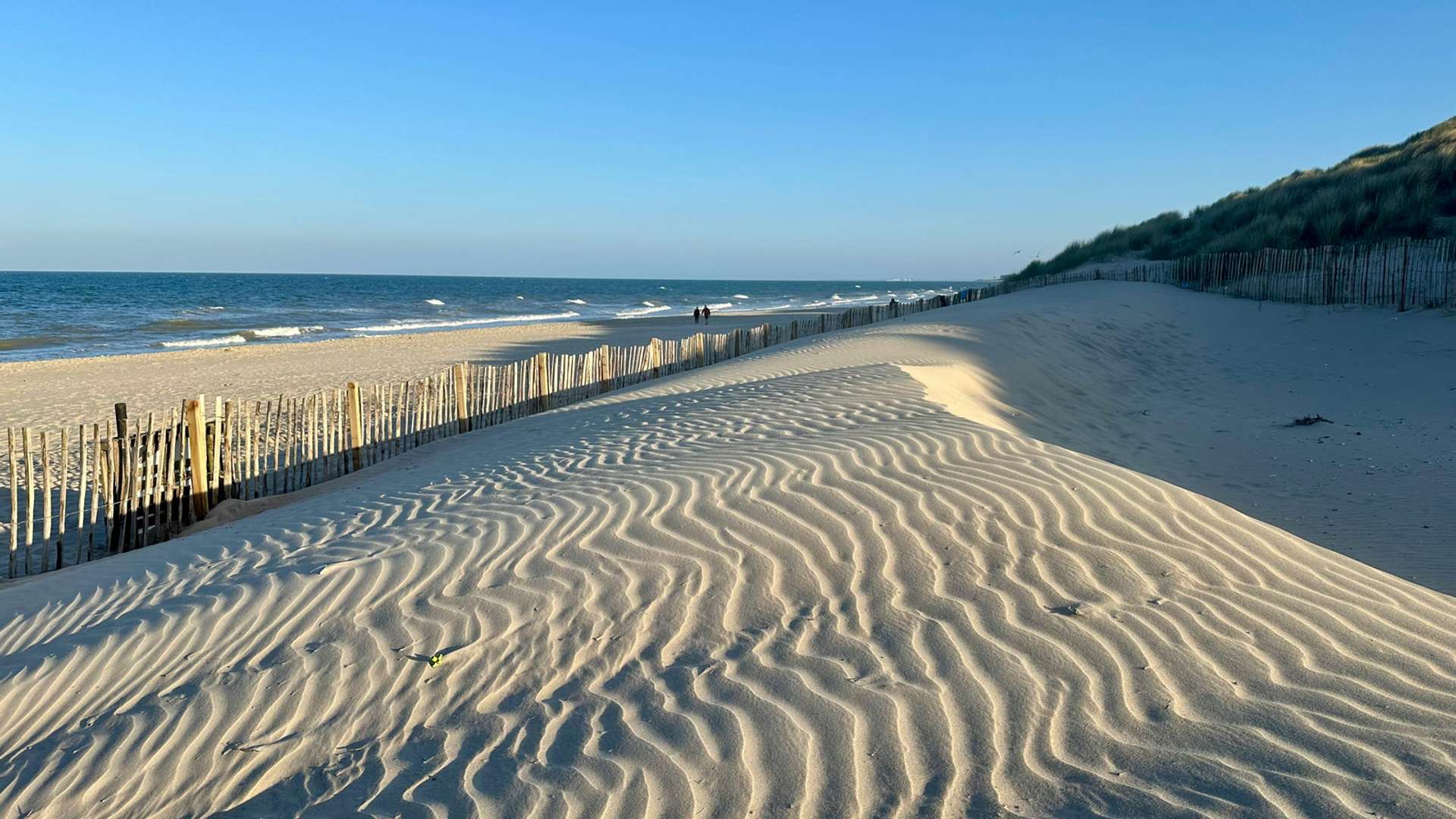 Ballina Tours and Trips