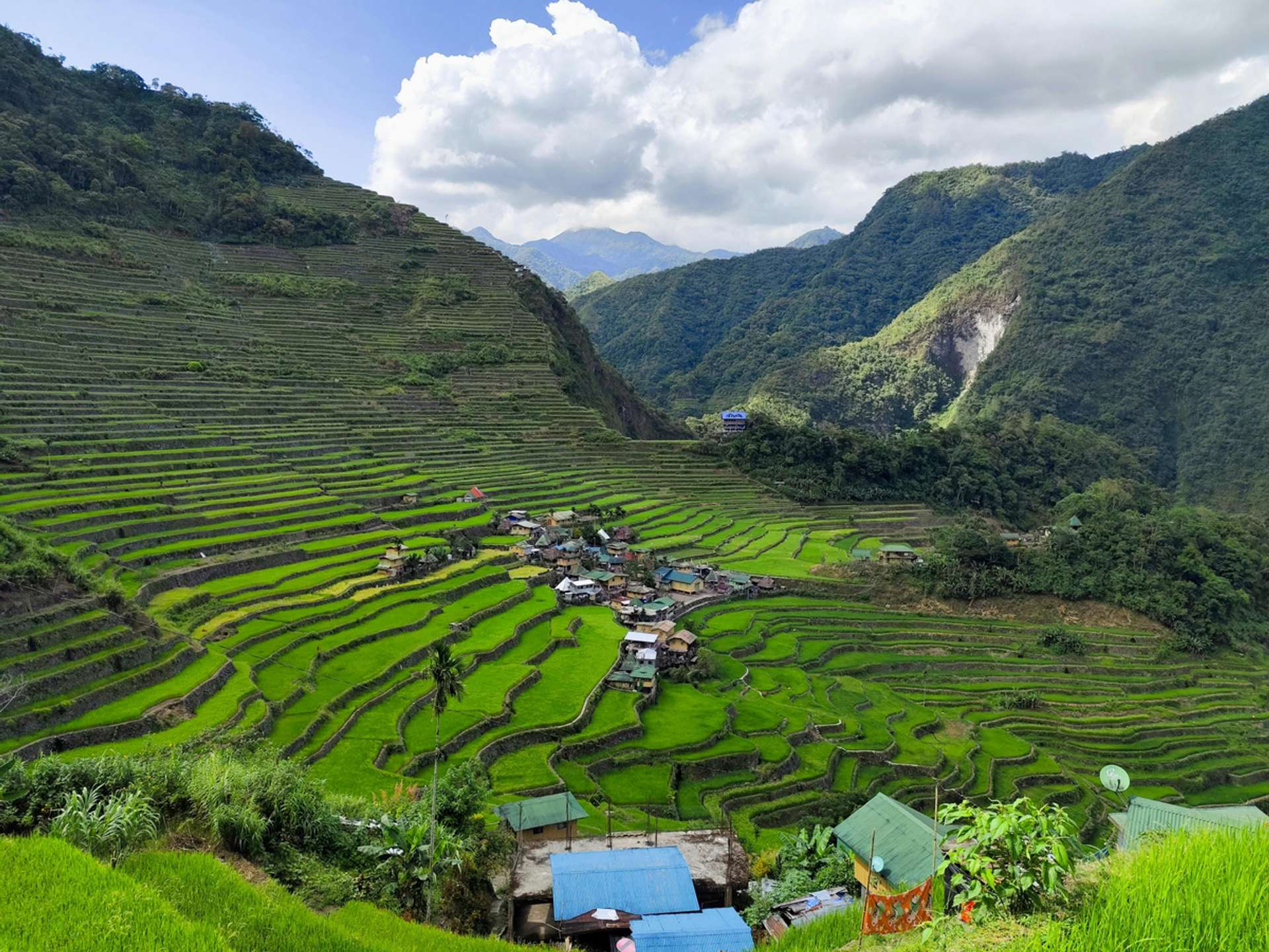 10 Best Tours and Trips in Banaue in 2025/2026 - Compare Prices
