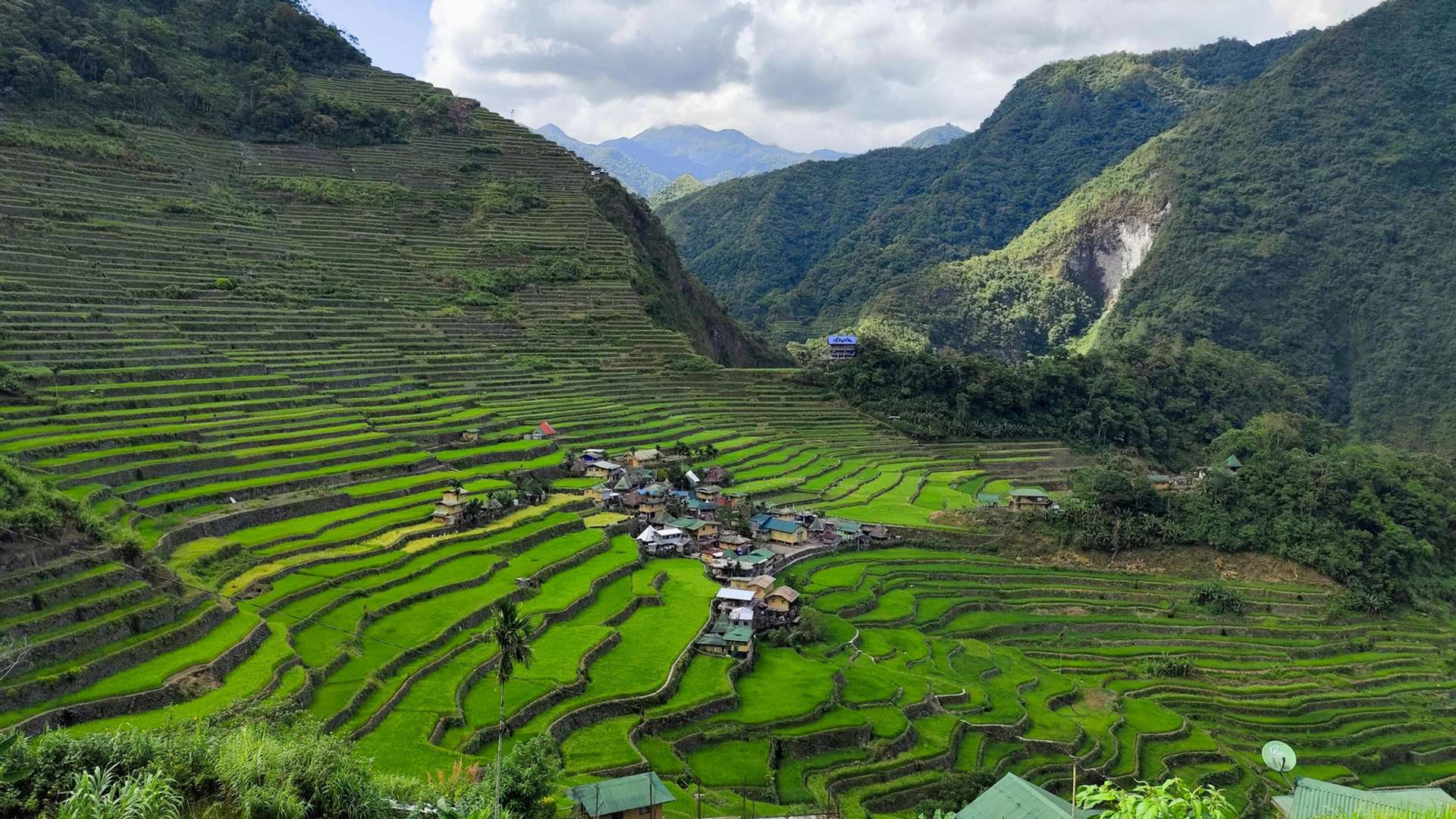 Banaue Tours and Trips