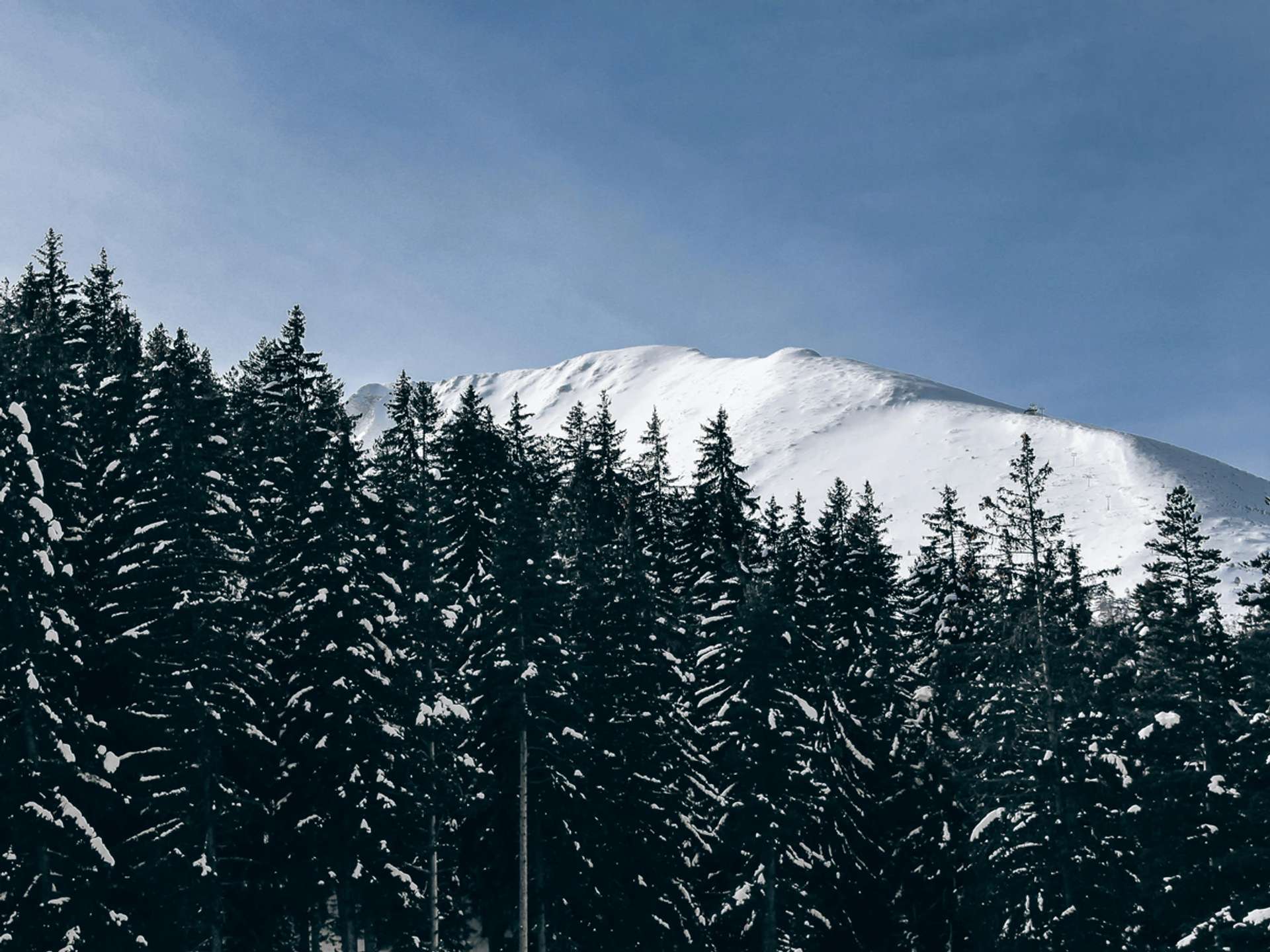 10 Best Tours and Trips in Bansko in 2025/2026 - Compare Prices