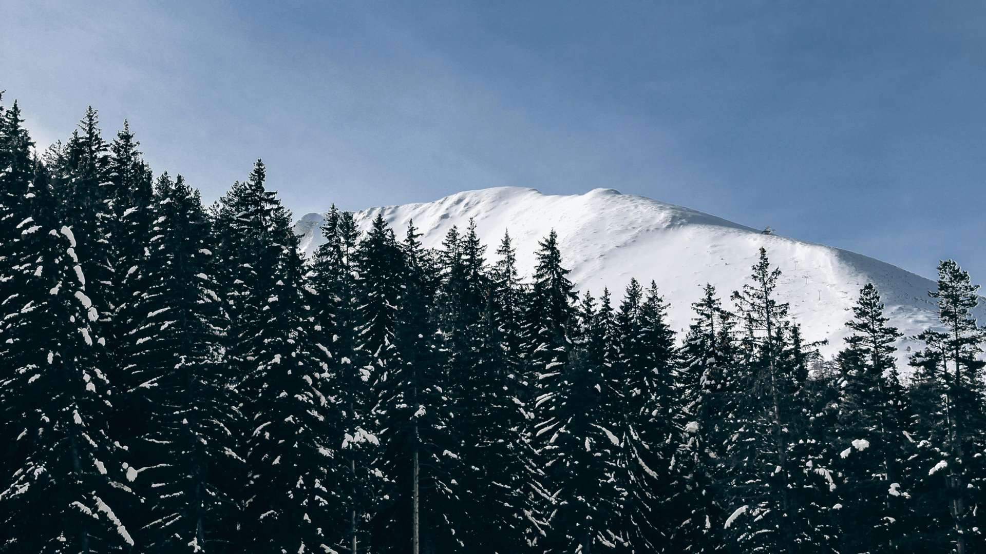 Bansko Tours and Trips