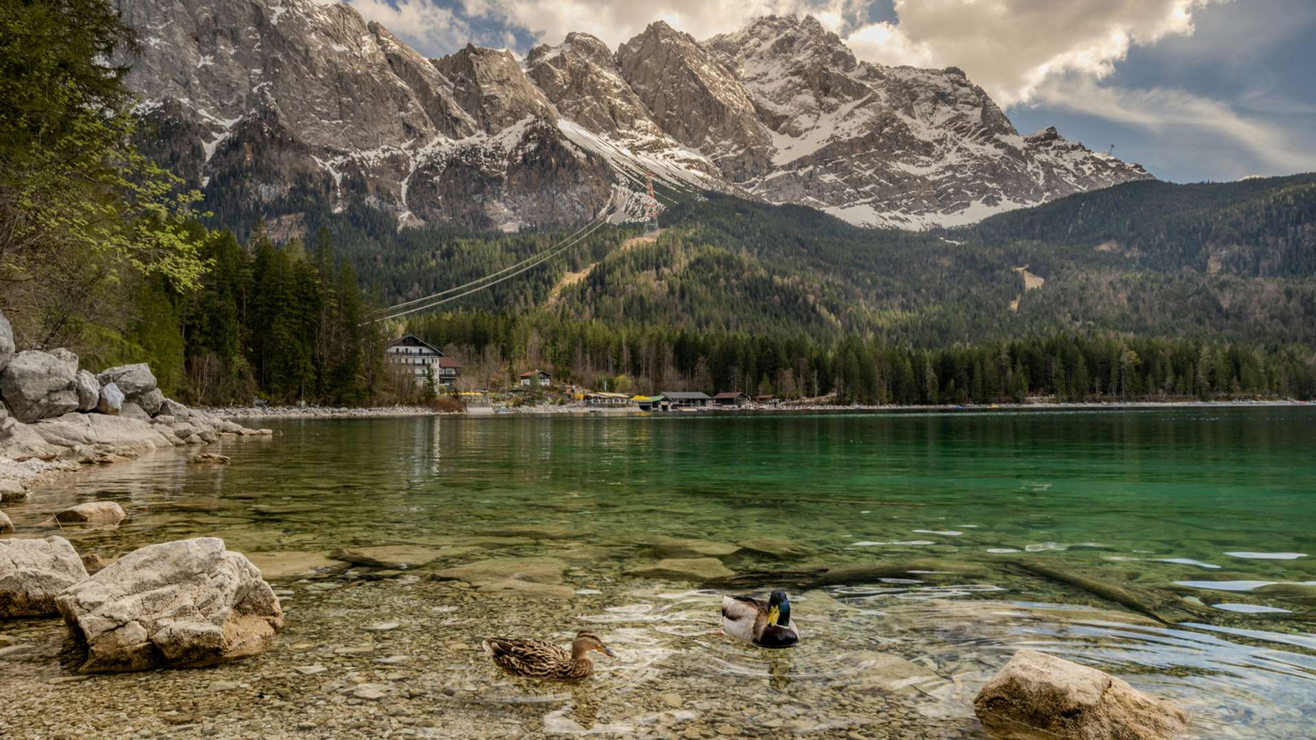 Bavaria Tours and Trips