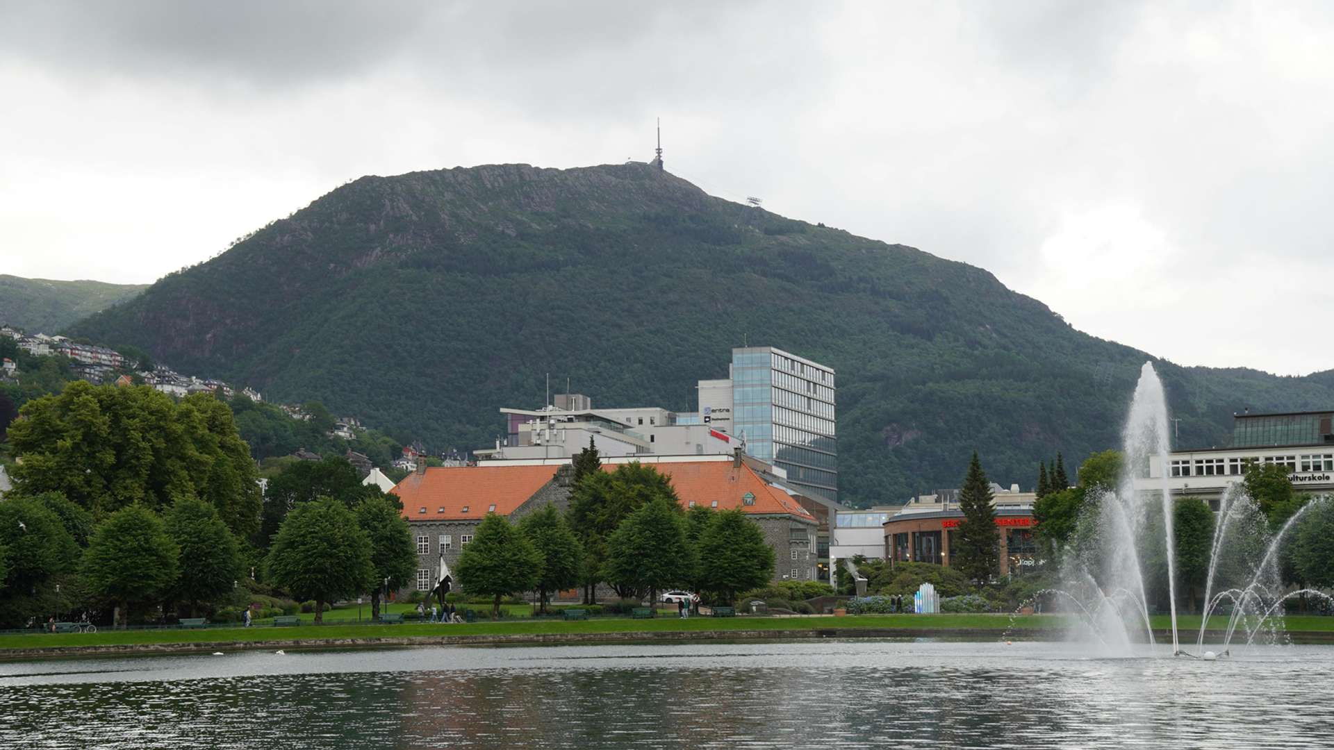 Bergen Tours and Trips