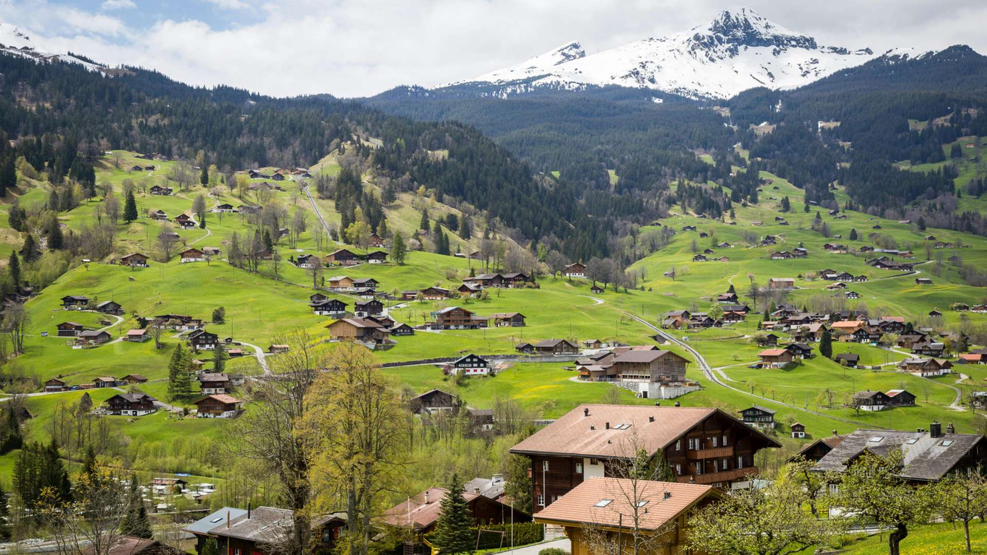 Bern Tours and Trips
