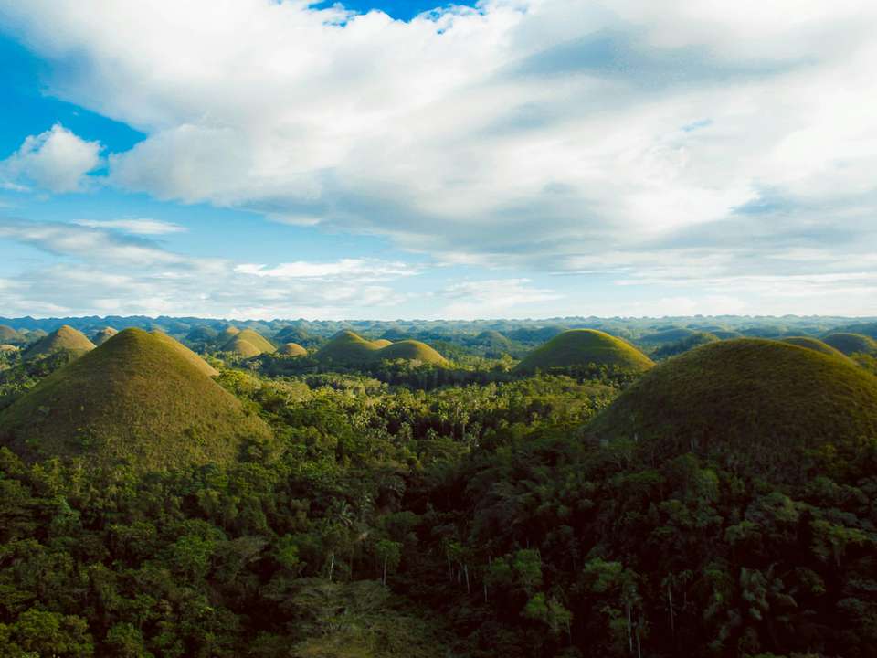 Top Bohol tours
