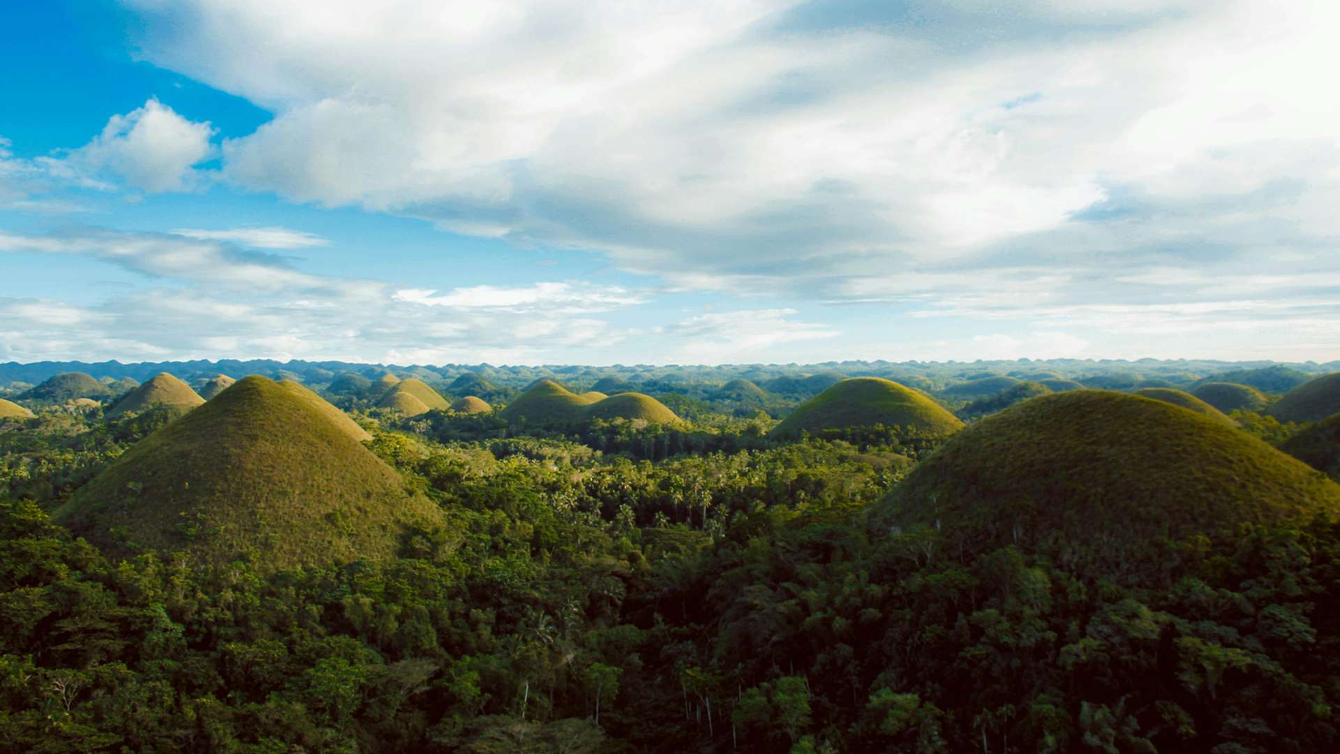 Bohol Tours and Trips