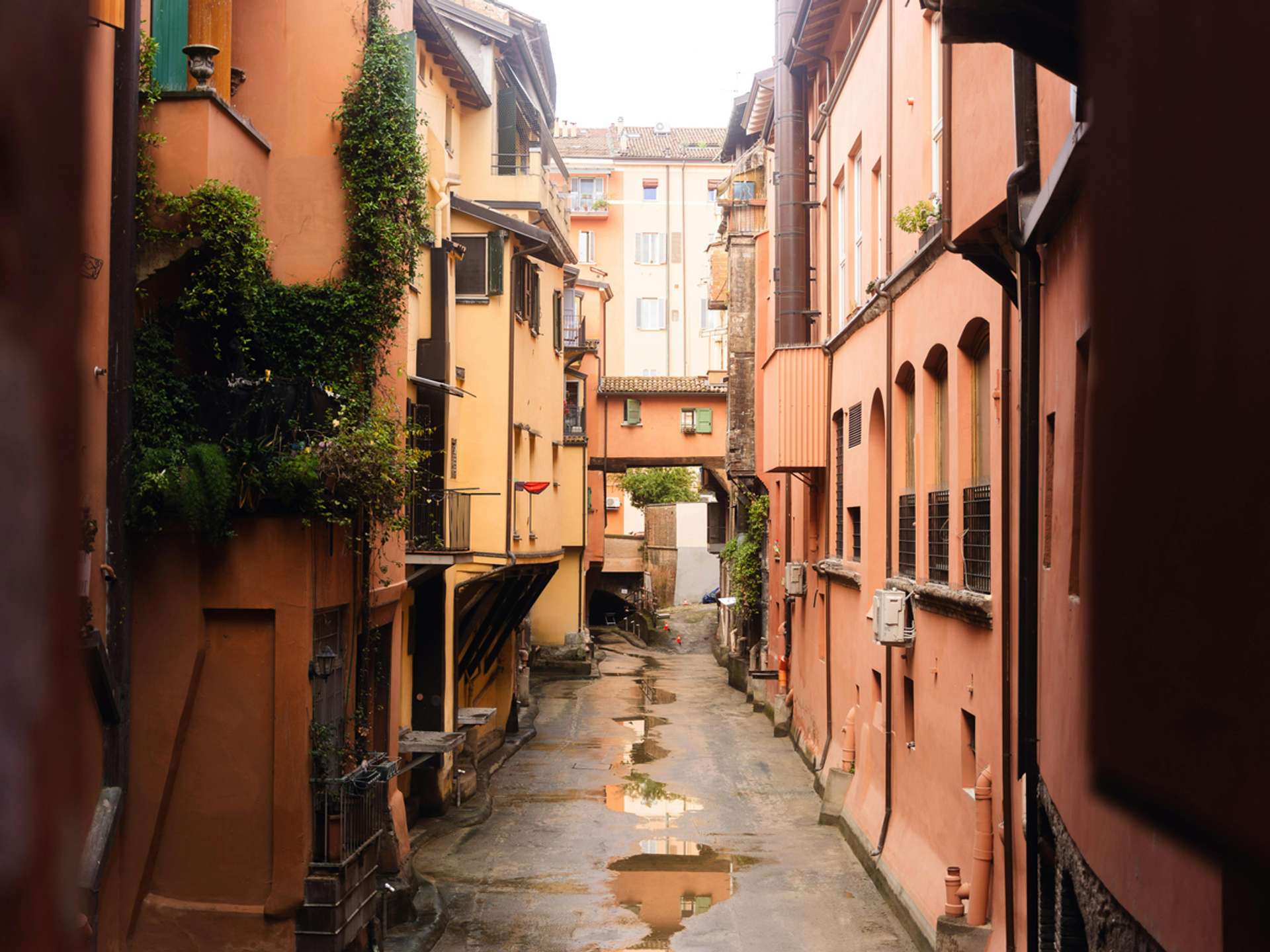 10 Best Tours and Trips in Bologna in 2025/2026 - Compare Prices