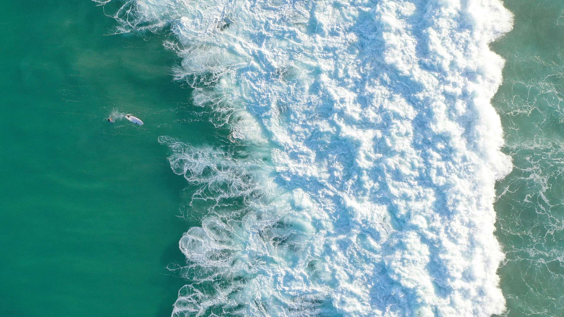 Bondi Beach Tours and Trips