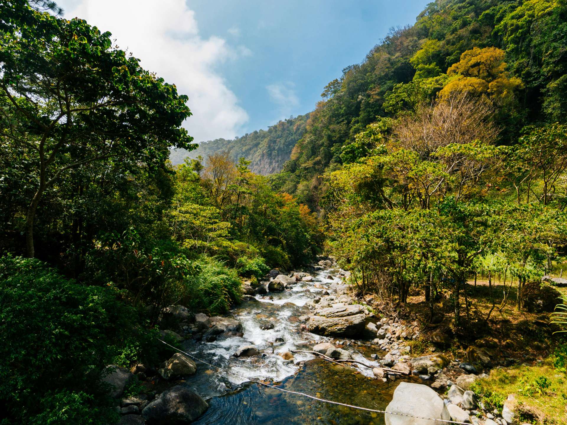 10 Best Tours and Trips in Boquete in 2025/2026 - Compare Prices