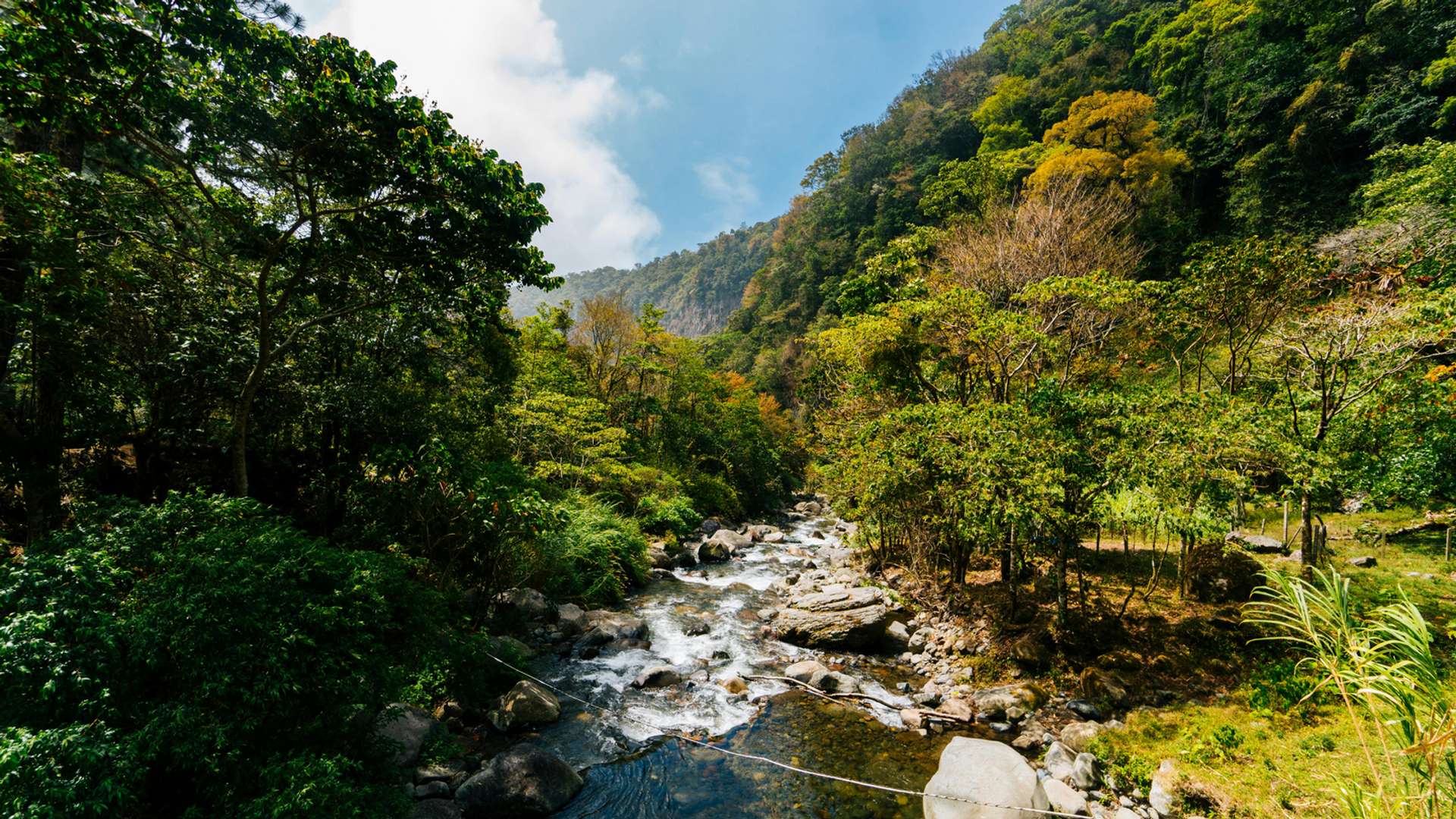 Boquete Tours and Trips
