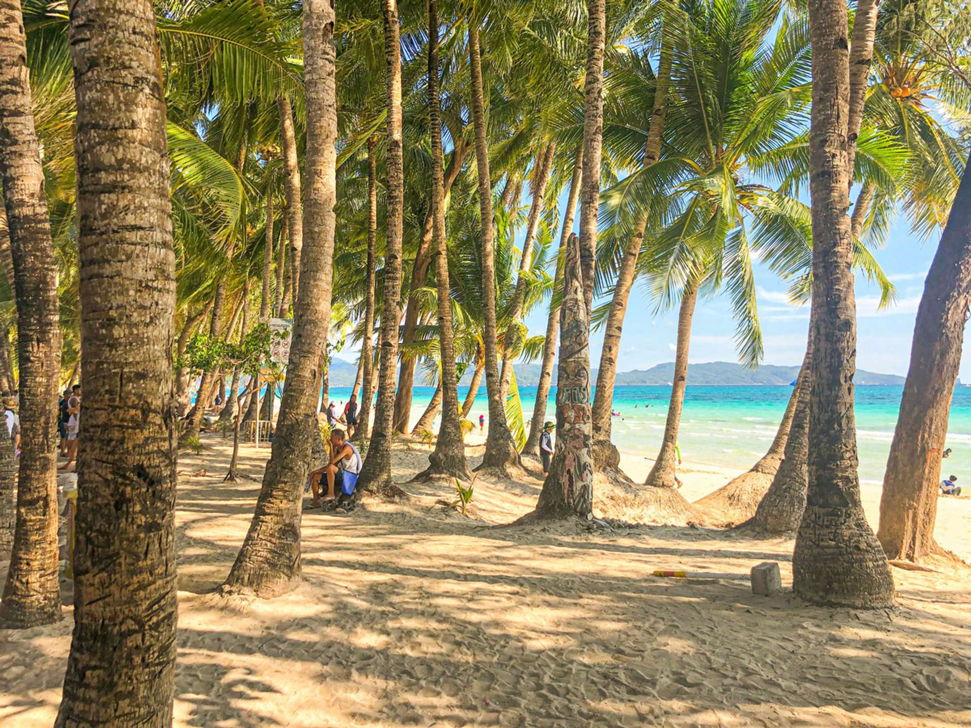 10 Best Tours and Trips in Boracay in 2025/2026 - Compare Prices