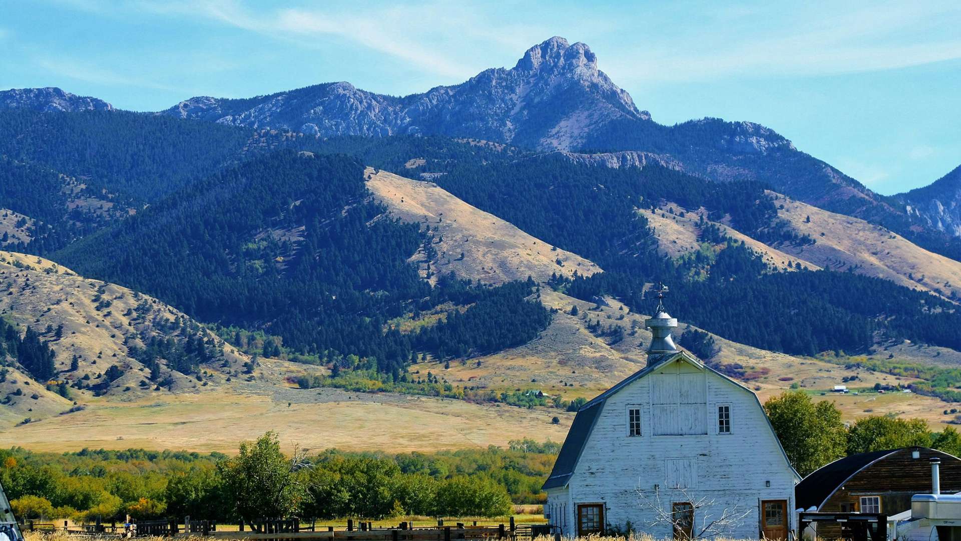 Bozeman Tours and Trips