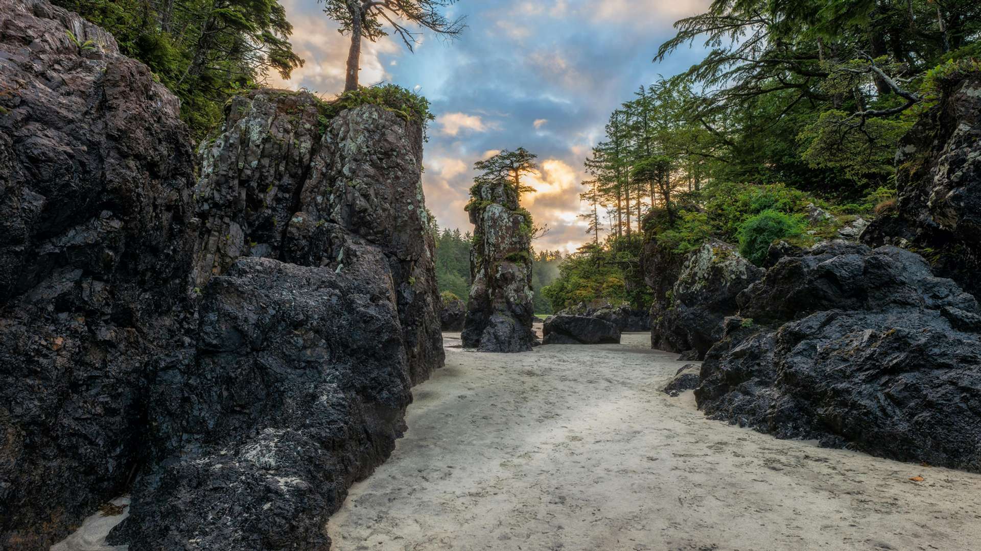 Cabot Trail, Cape Breton Island Tours and Trips