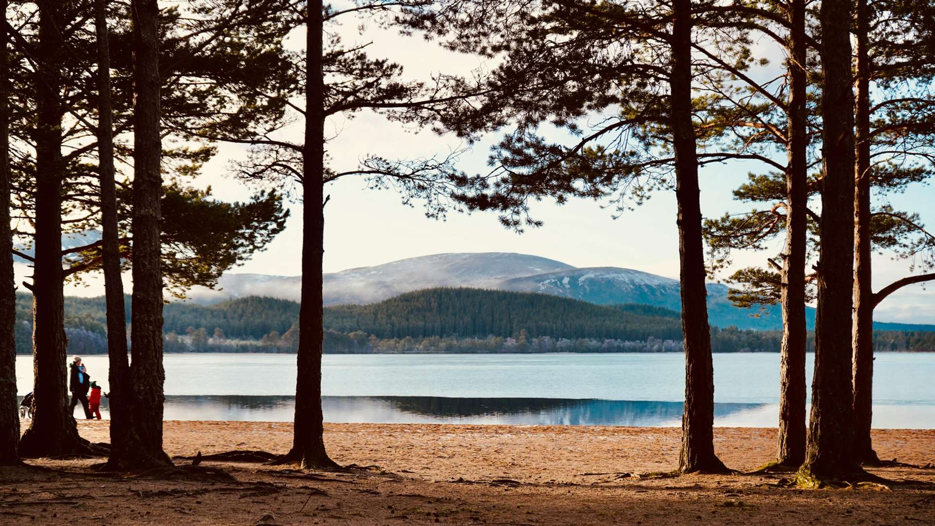 Cairngorms National Park Tours and Trips