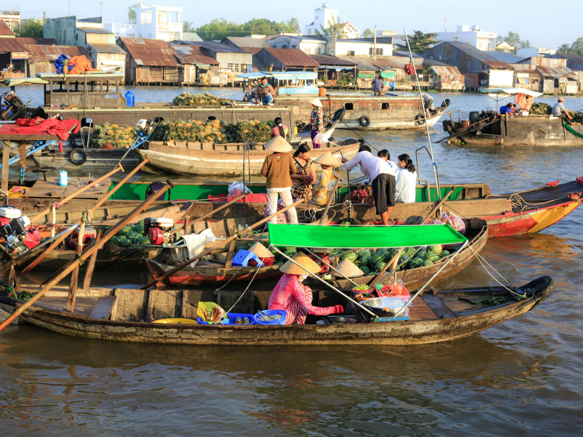 10 Best Tours and Trips in Can Tho in 2025/2026 - Compare Prices