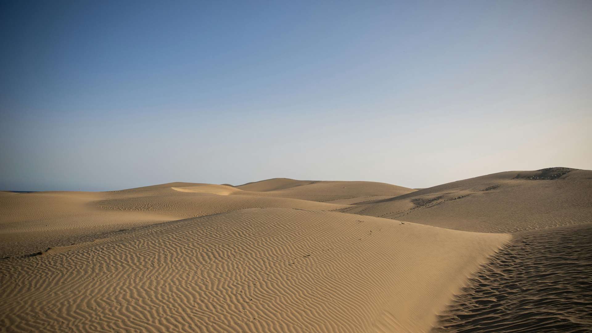 Canary Islands Tours and Trips