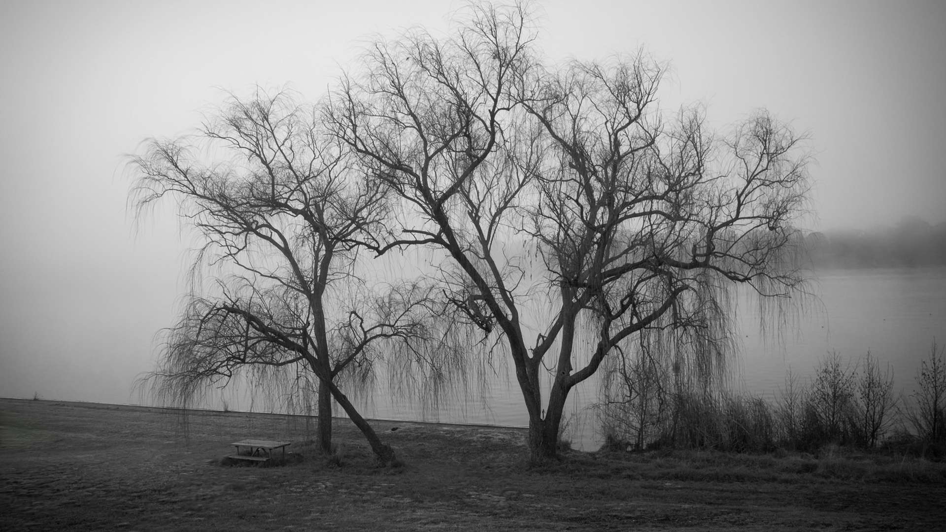 Canberra Tours and Trips