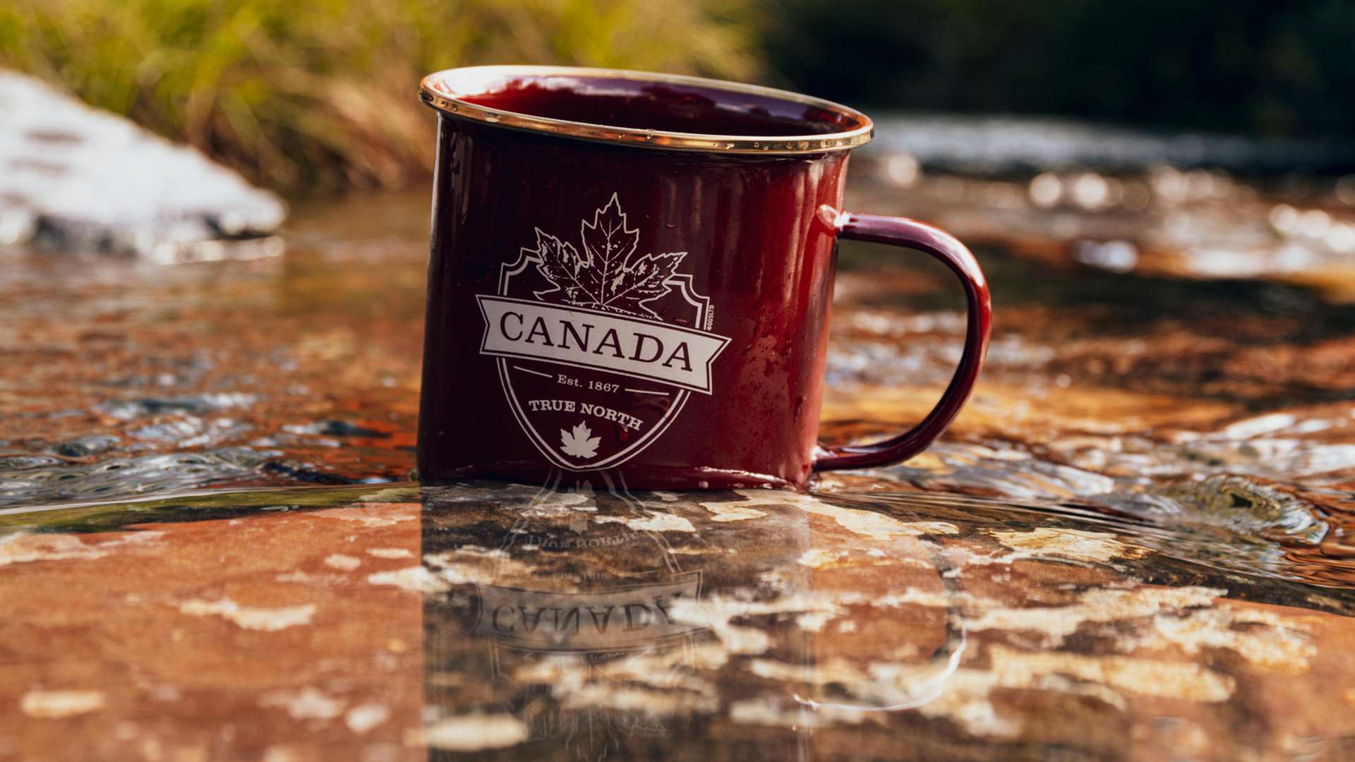 Canmore Tours and Trips