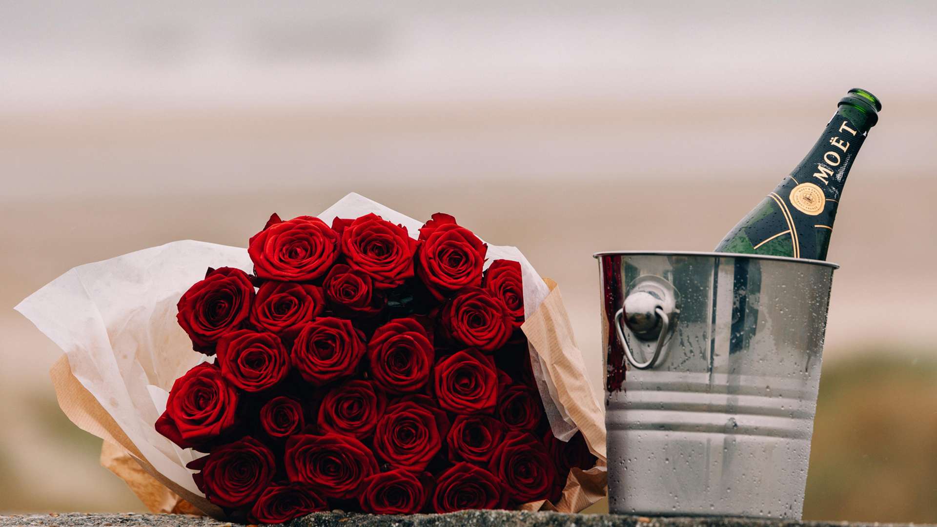 Champagne Tours and Trips