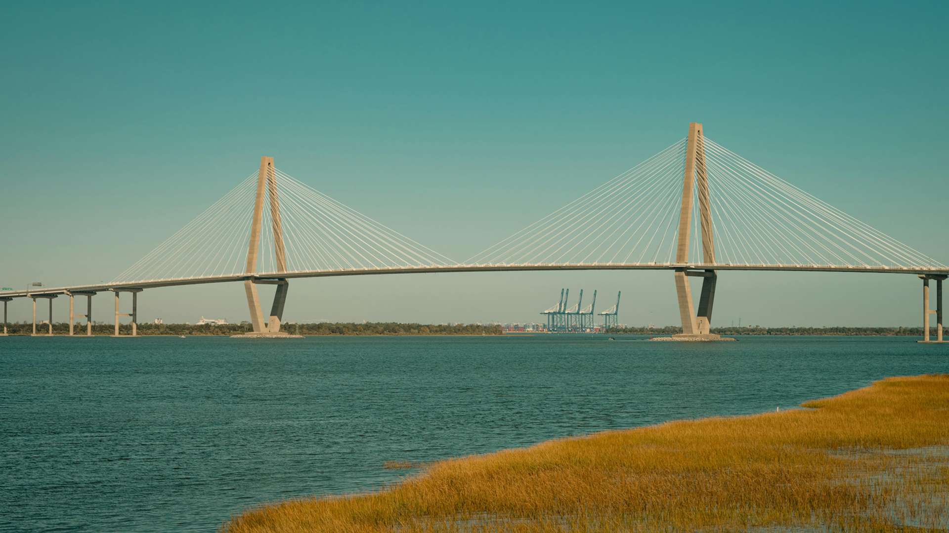 Charleston Tours and Trips