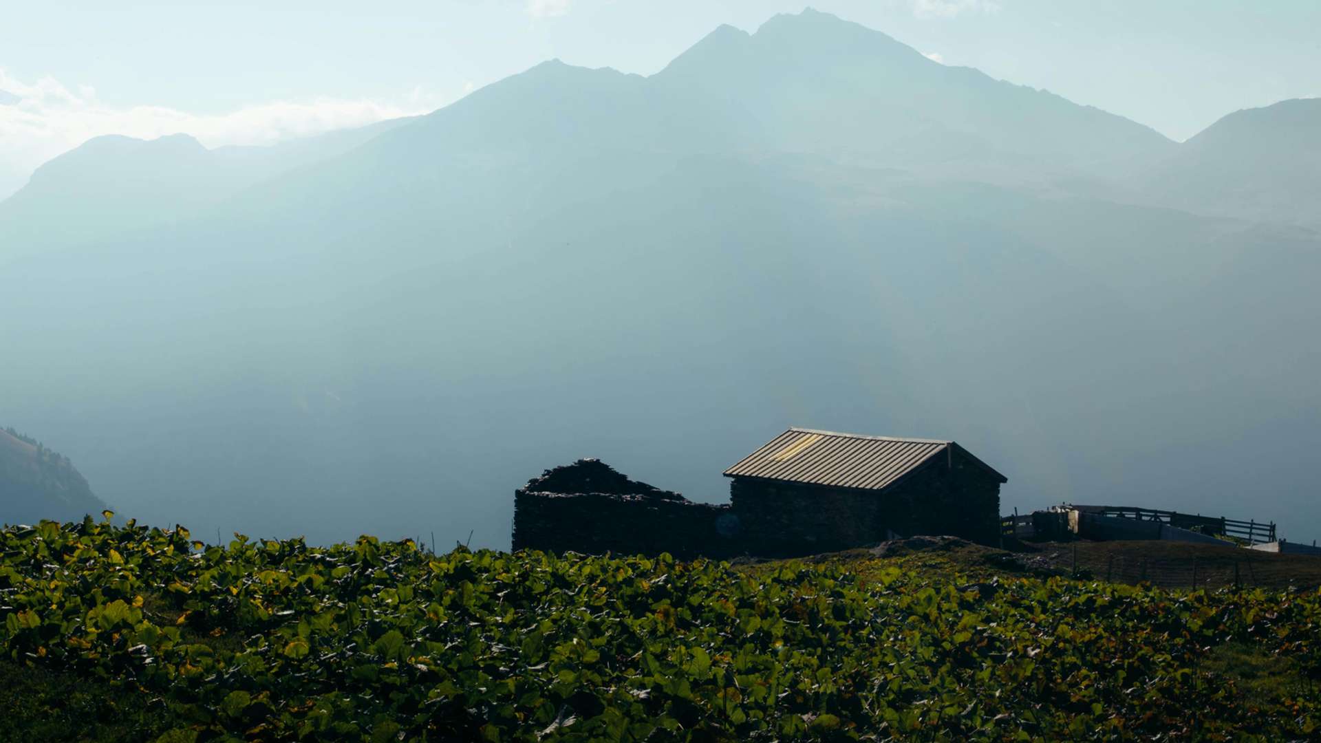 Col De La Forclaz Tours and Trips