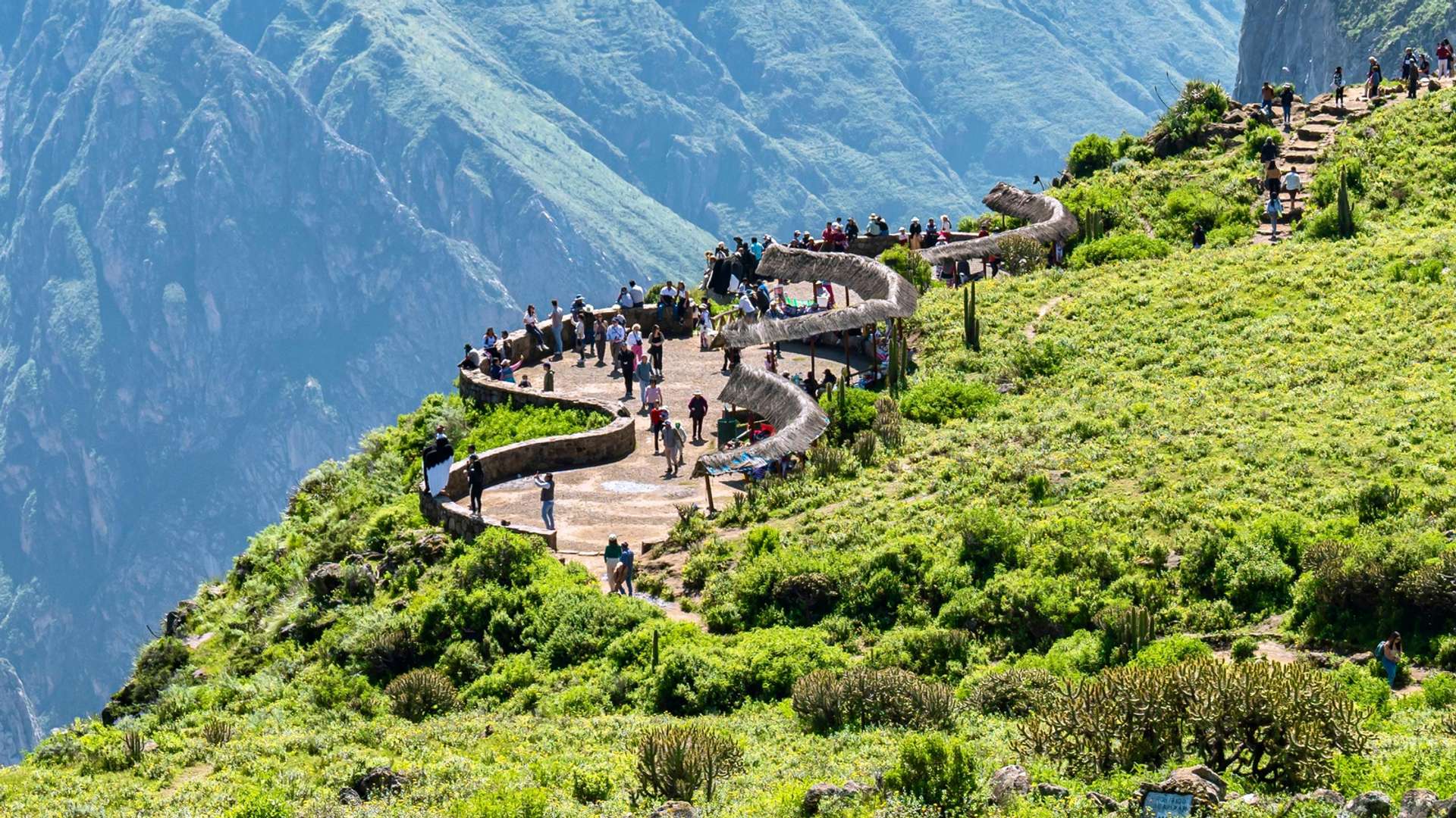 Colca Canyon Tours and Trips