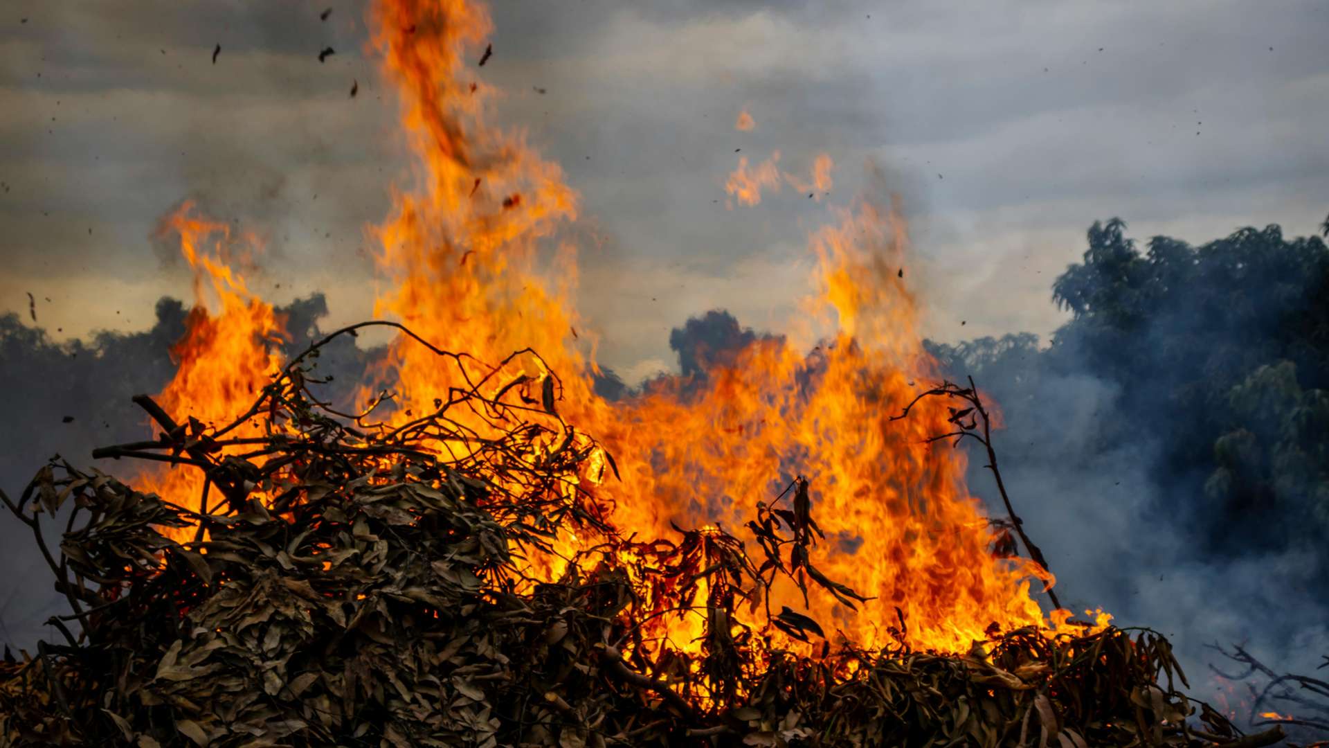 Colcapampa Tours and Trips